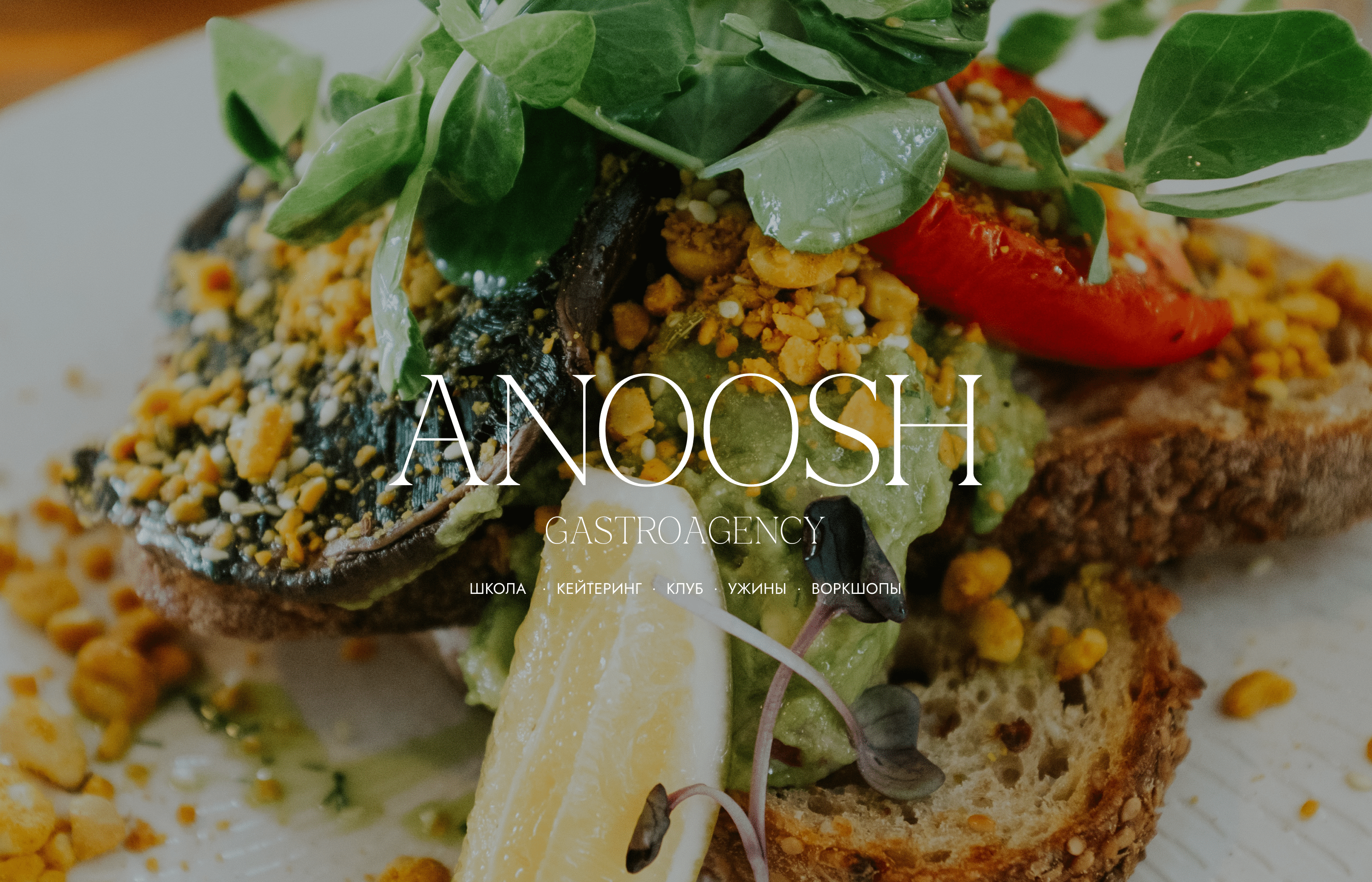 ANOOSH GASTROAGENCY / BRAND IDENTITY — Изображение №1 — Брендинг на Dprofile