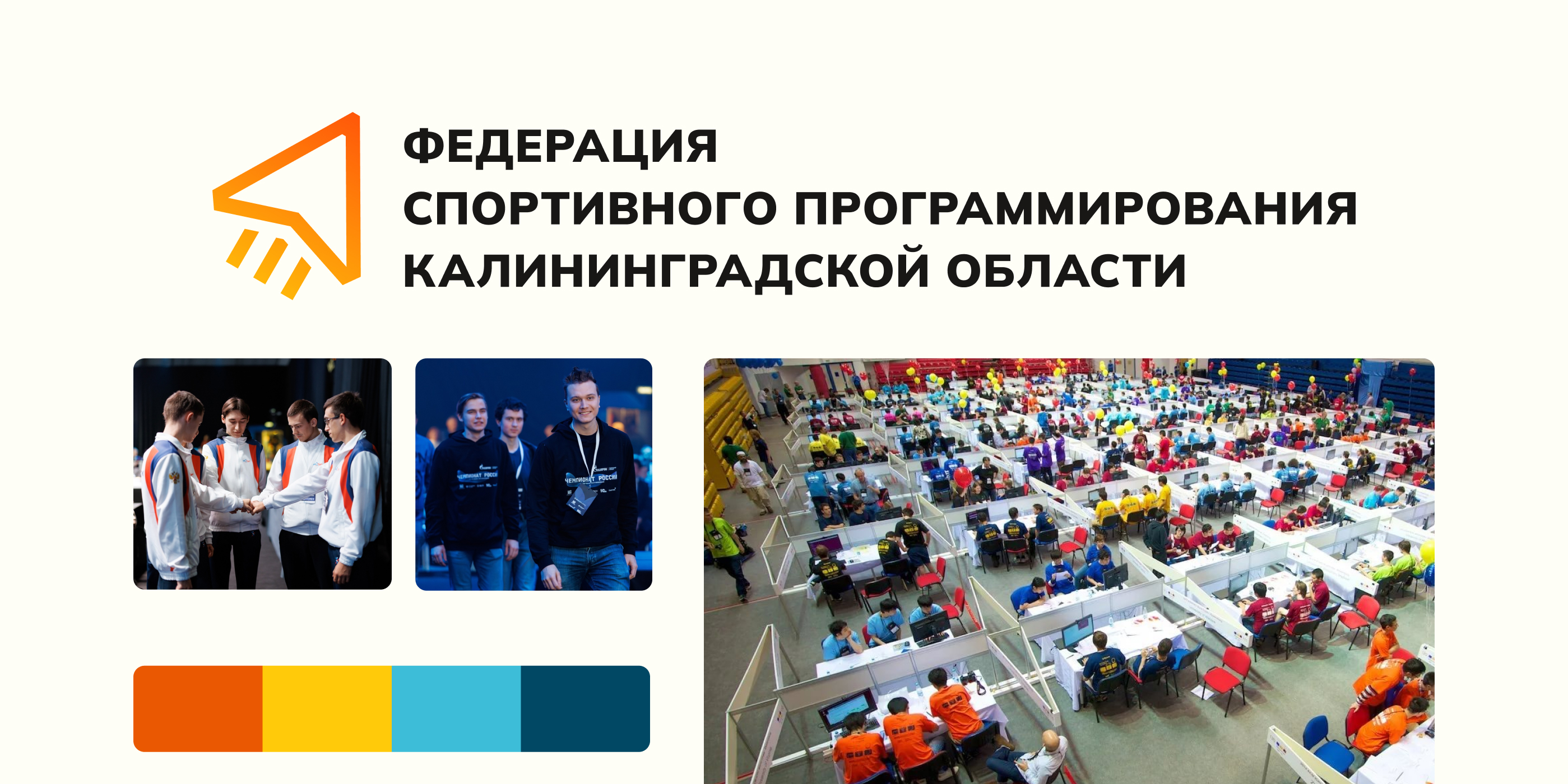 Проект ребрединга для Федерации спортивного программирования — Изображение №1 — Брендинг, Маркетинг на Dprofile