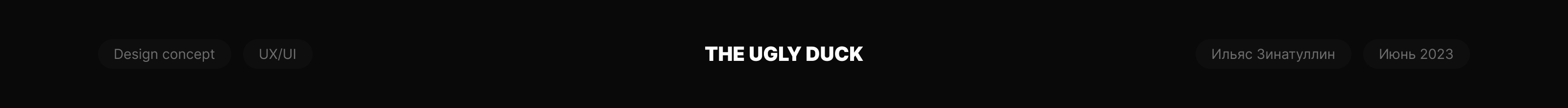 THE UGLY DUCK — Изображение №1 — Интерфейсы на Dprofile