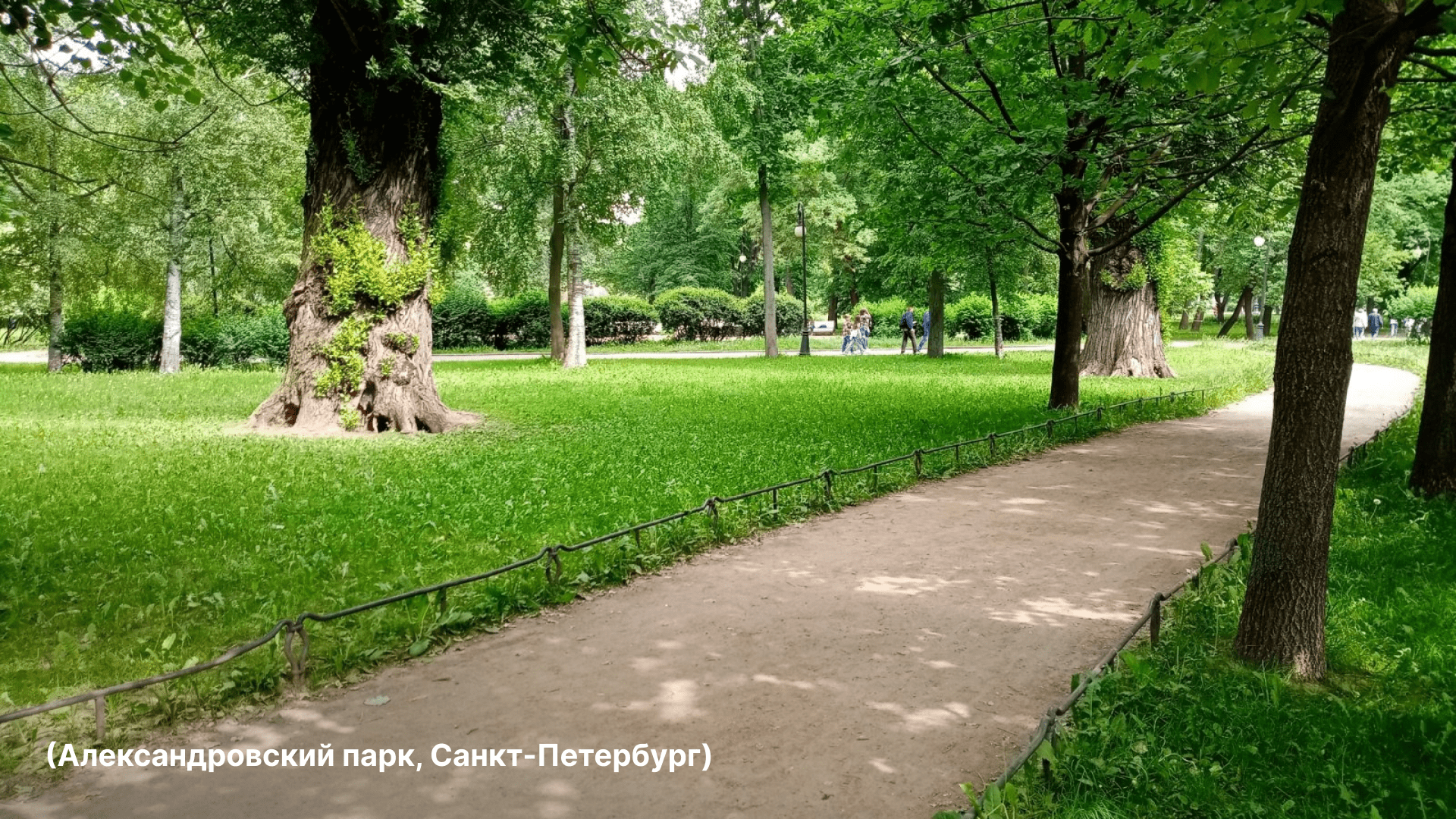 Александровский парк / Навигация — Изображение №2 — Брендинг, Графика на Dprofile