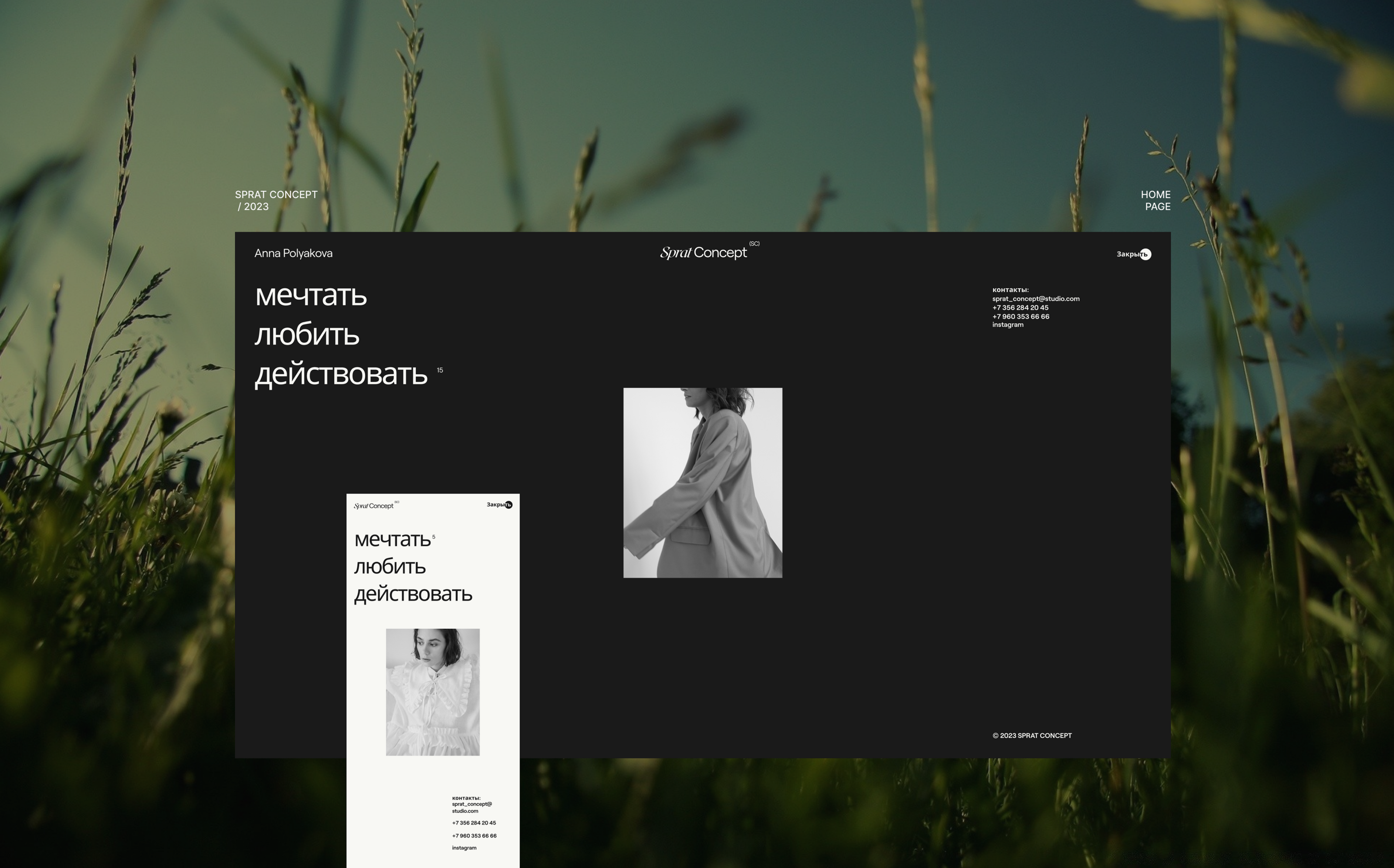 Sprat Concept — Изображение №5 — Интерфейсы, Брендинг на Dprofile