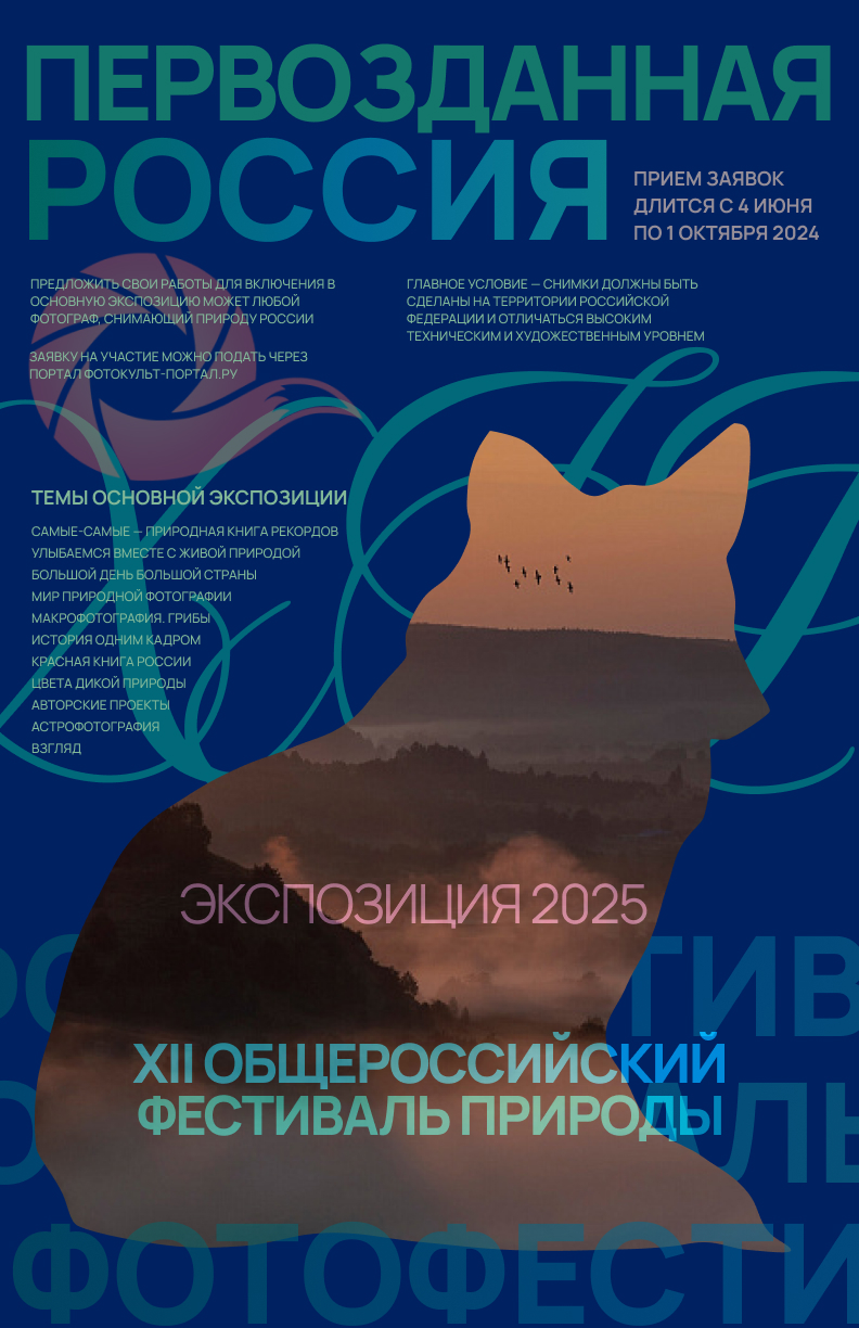 Сборник. Плакаты и баннеры — Изображение №3 — Графика, Маркетинг на Dprofile