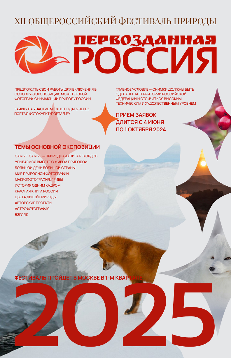 Сборник. Плакаты и баннеры — Изображение №4 — Графика, Маркетинг на Dprofile