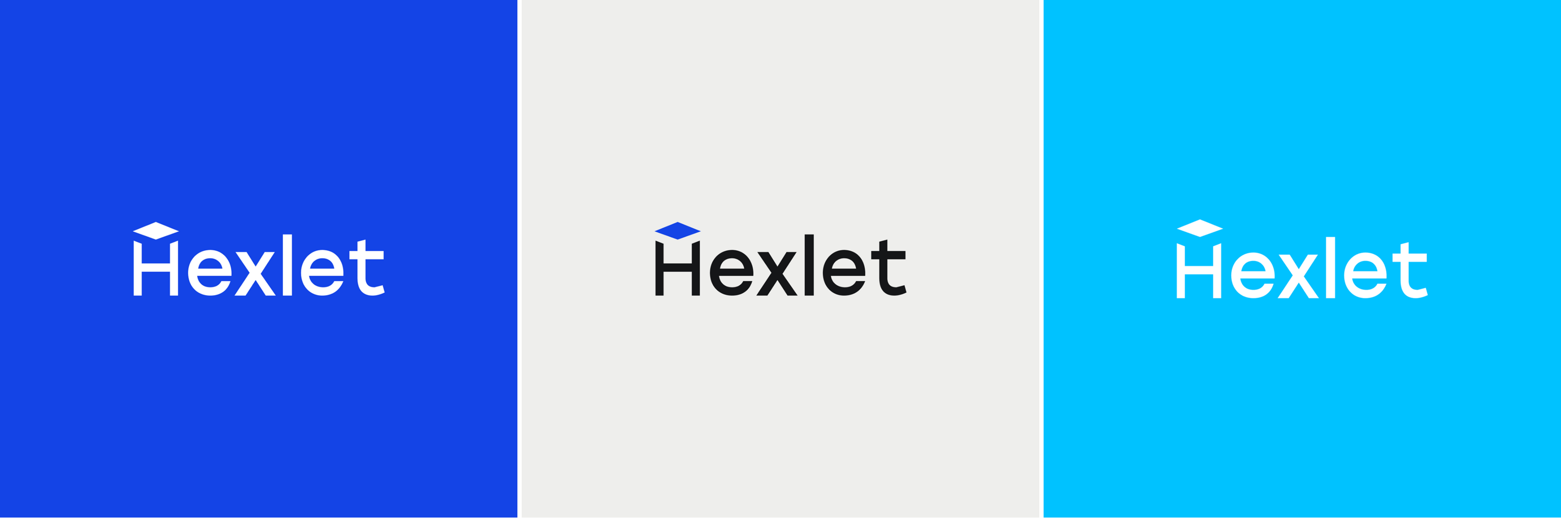 Hexlet — rebranding — Изображение №6 — Брендинг, 3D на Dprofile