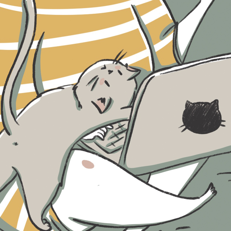 Кошатники — Изображение №10 — Иллюстрация на Dprofile