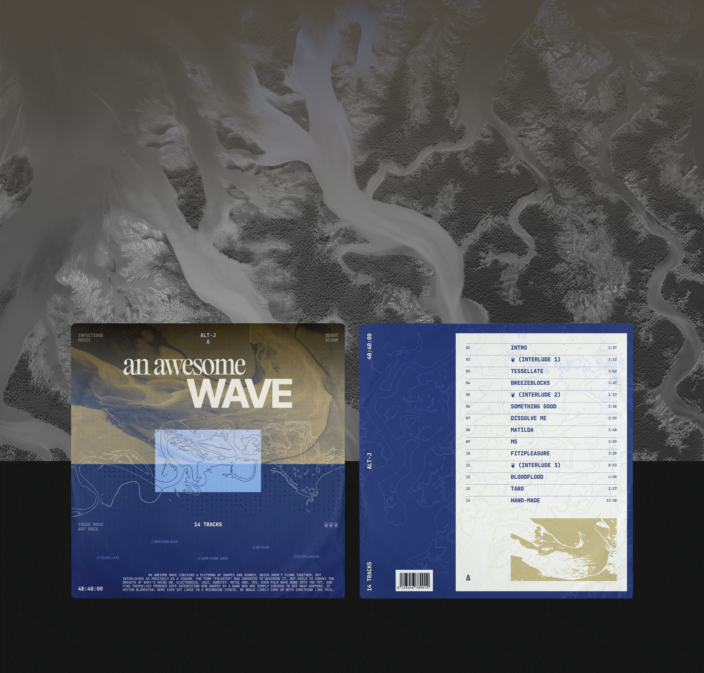alt-J album cover redesign | vinyl design — Изображение №3 — Брендинг, Графика на Dprofile
