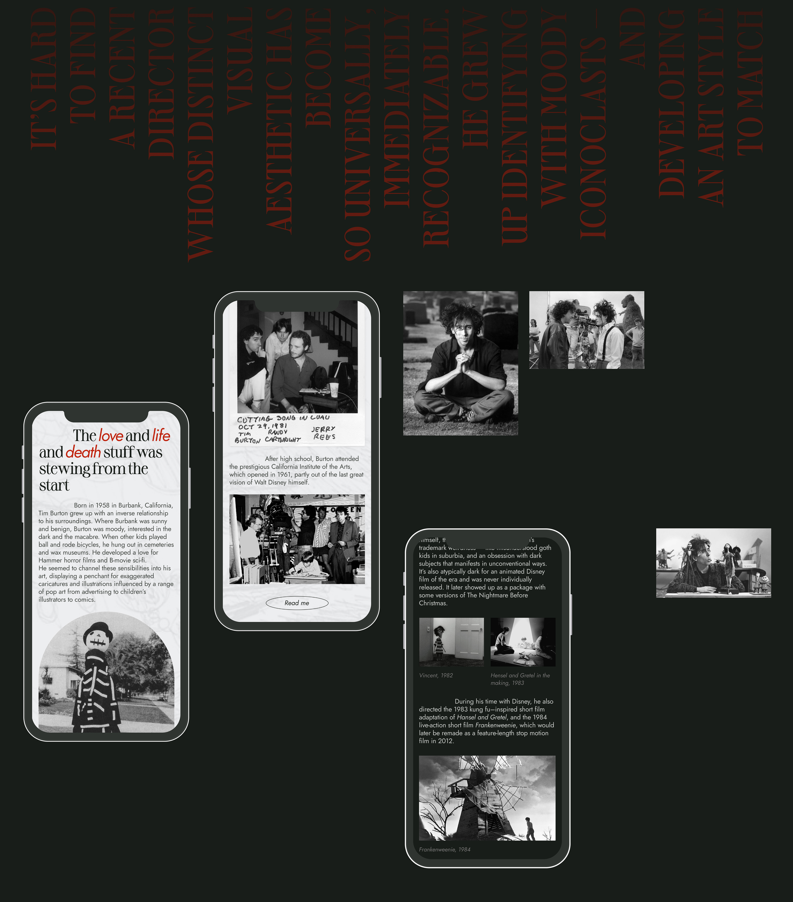 Redesign concept / Tim Burton website — Изображение №4 — Интерфейсы на Dprofile