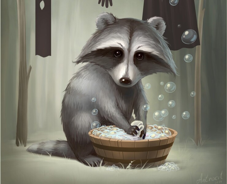 Енот полоскун — Иллюстрация на Dprofile