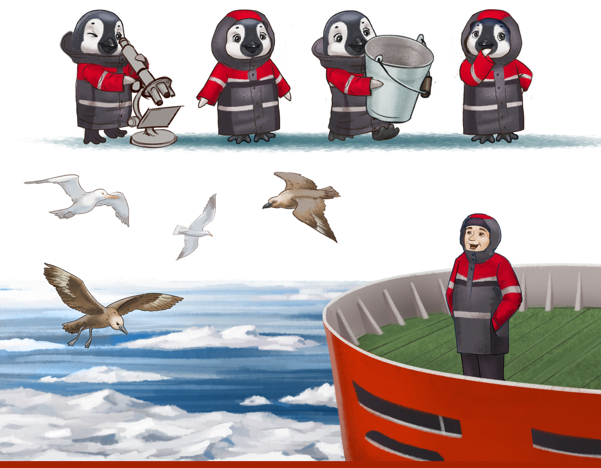 Tommy the penguin is going home — Изображение №3 — Иллюстрация на Dprofile