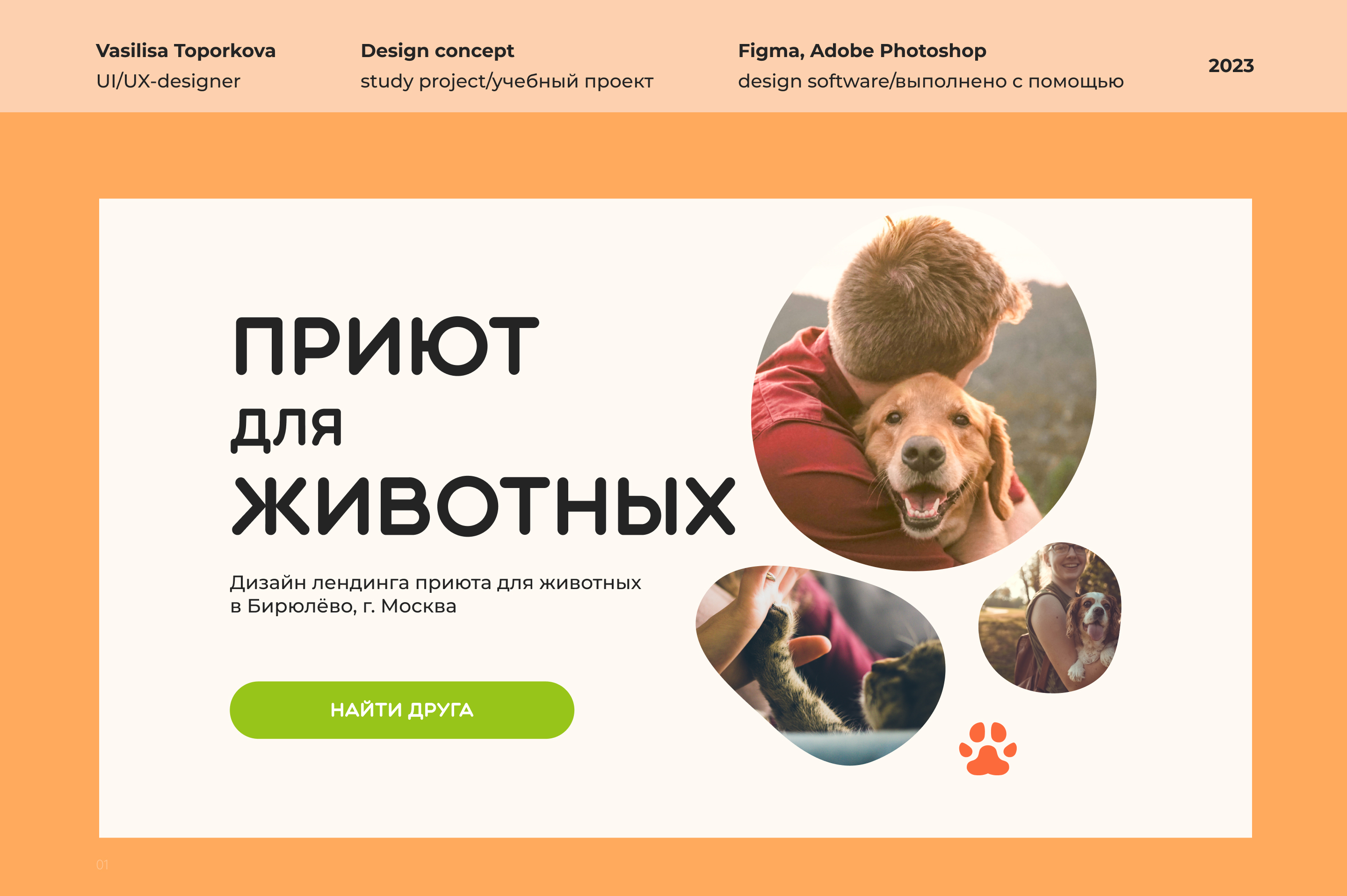 Лендинг приюта для животных Animal Shelter Landing Page — Изображение №1 — Интерфейсы на Dprofile