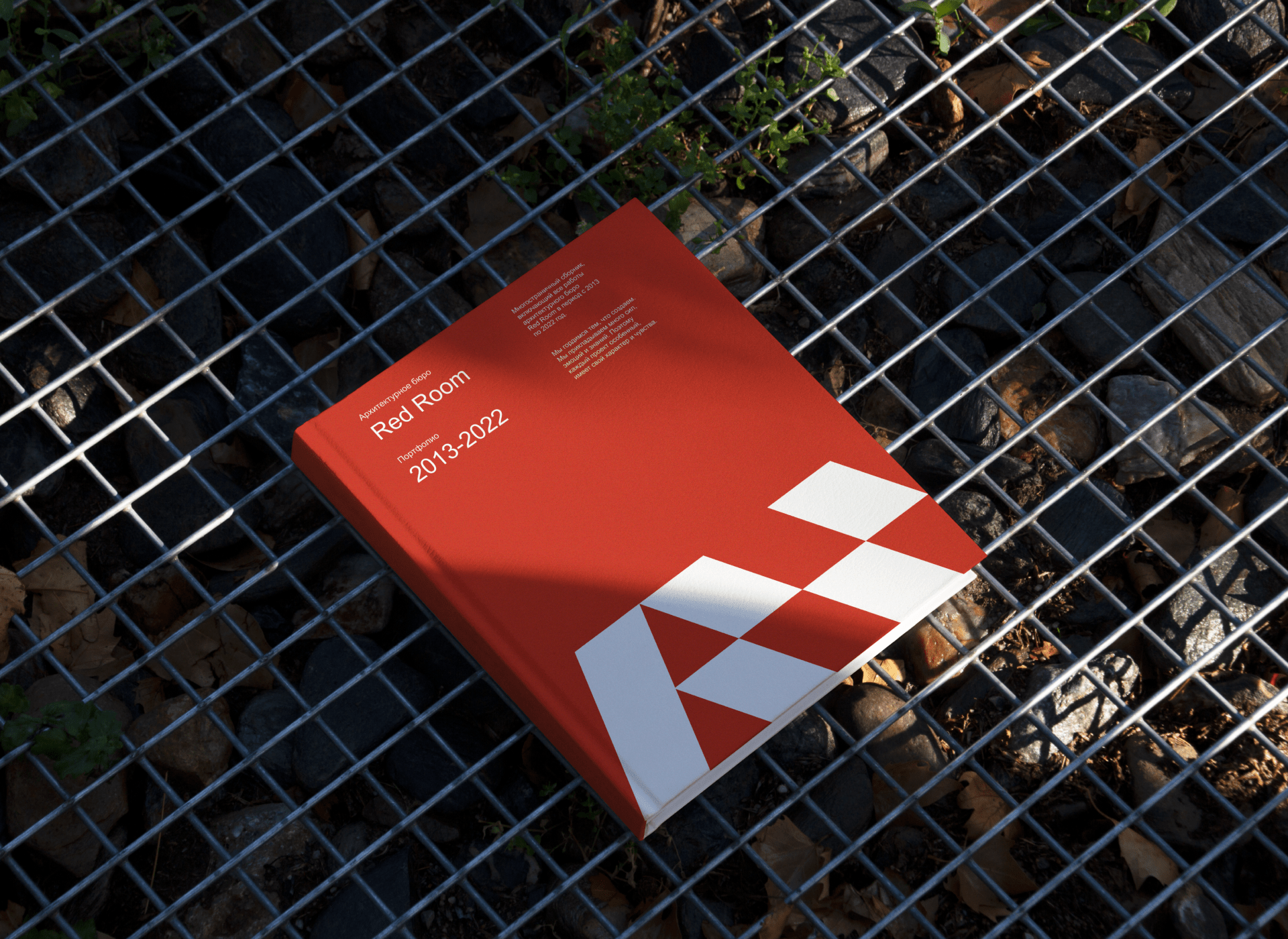 Red Room — Изображение №4 — Брендинг, Графика, Анимация на Dprofile