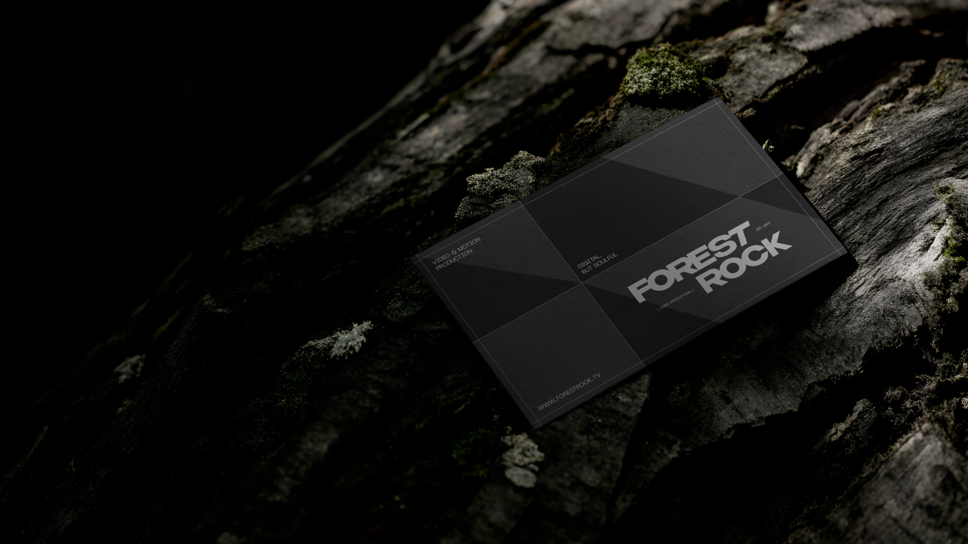 Forest Rock | брендинг — Изображение №9 — Брендинг, Графика на Dprofile