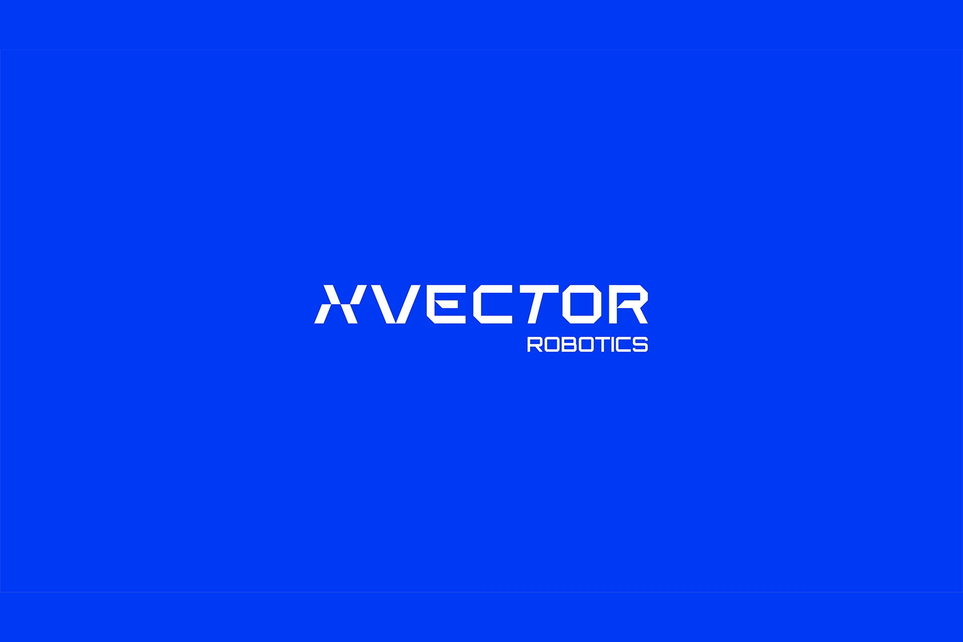 Xvector — Изображение №4 — Брендинг, Графика на Dprofile