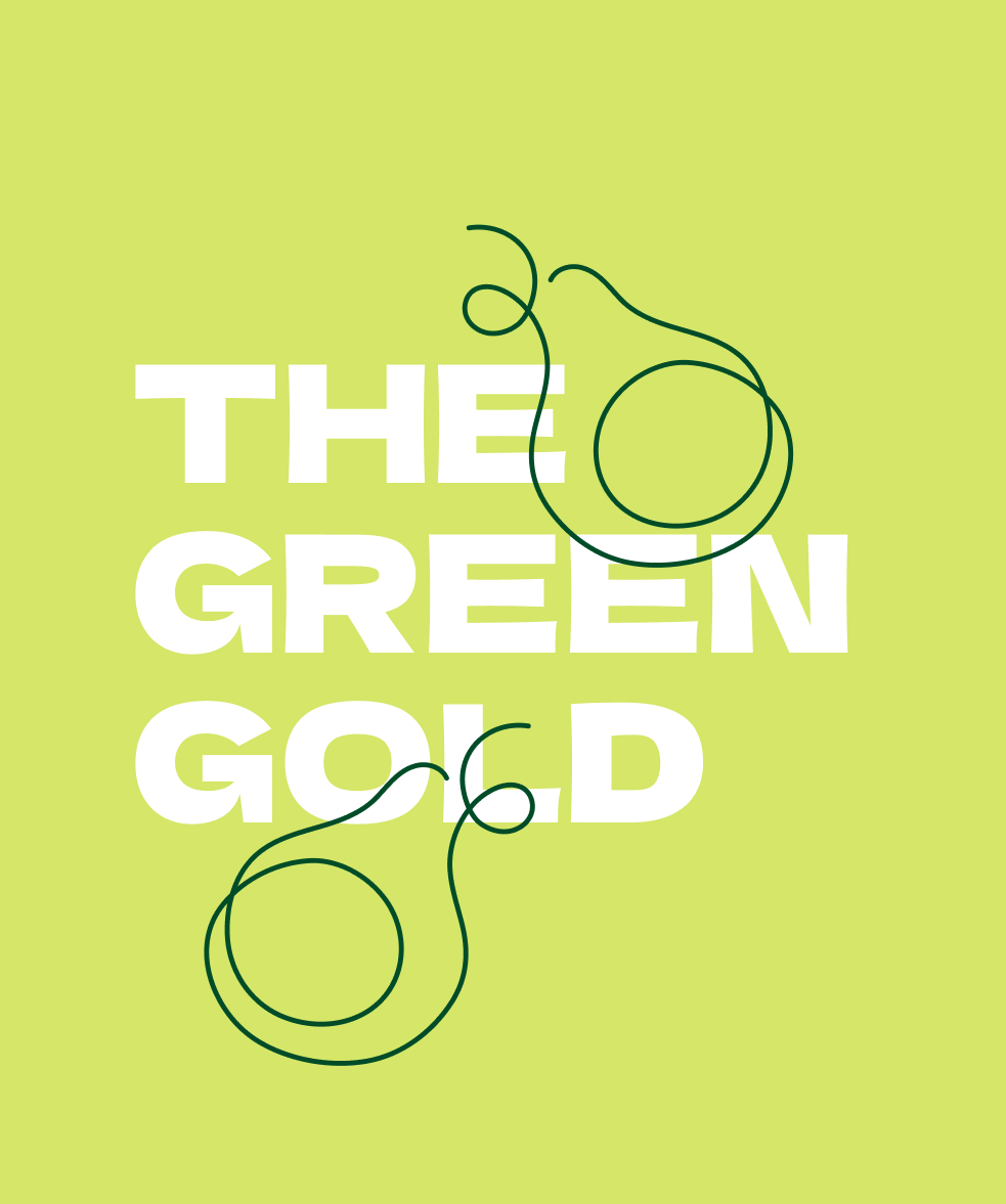 Greengo — Изображение №9 — Брендинг, Графика на Dprofile