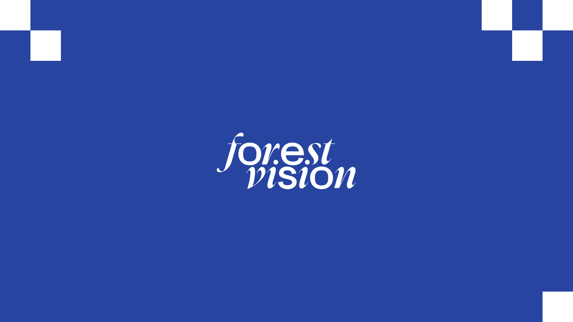 Forest vision — Изображение №2 — Брендинг на Dprofile