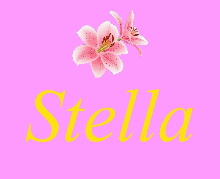Stella — Брендинг на Dprofile