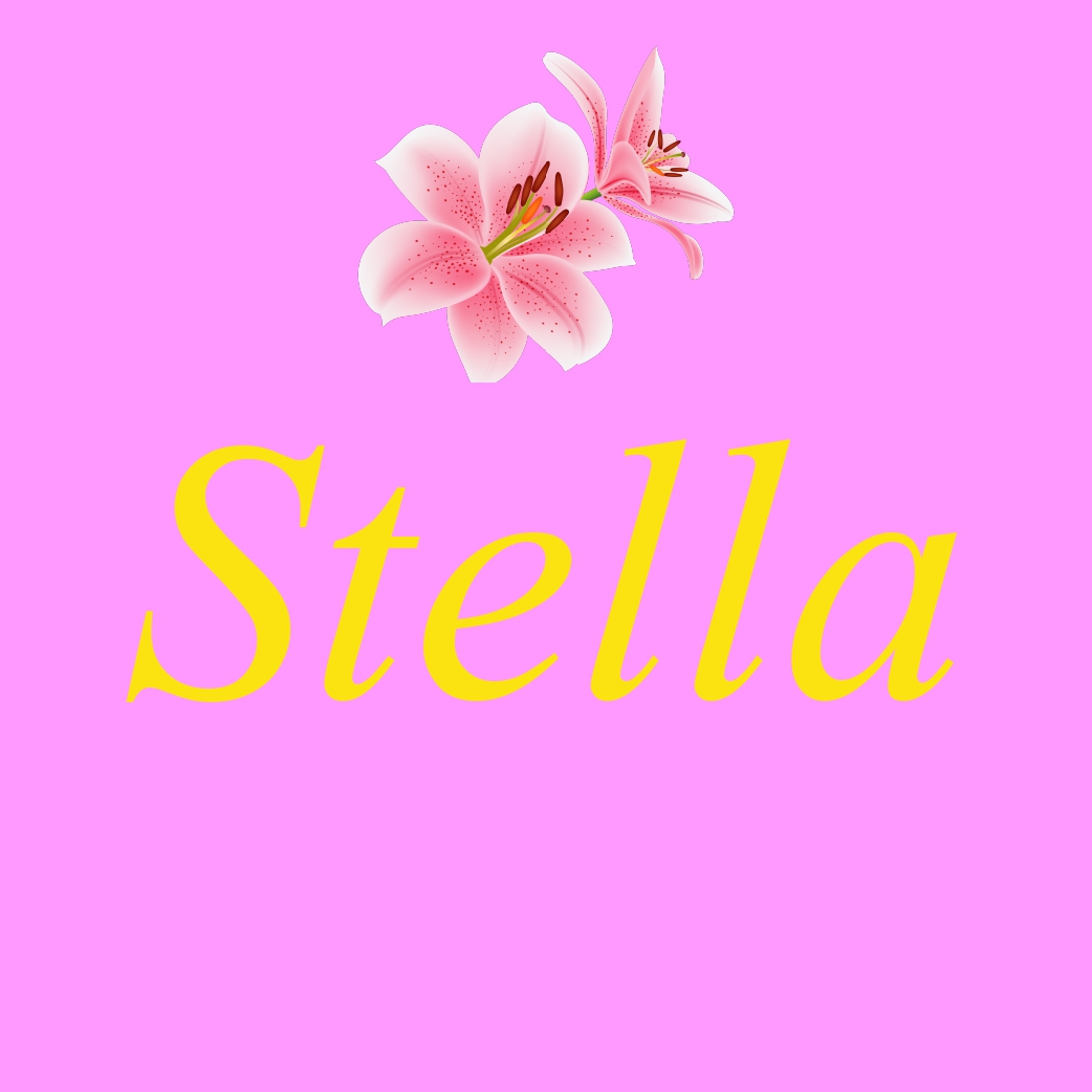 Stella — Изображение №1 — Брендинг на Dprofile