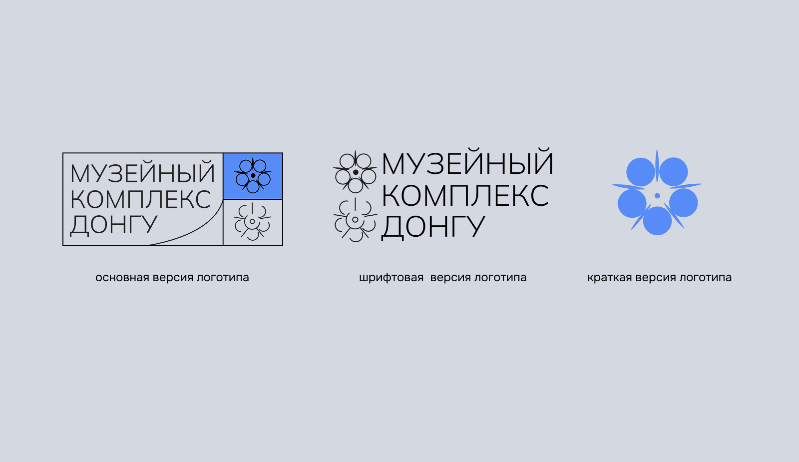 Айдентика музейного комплекса "ДонГУ" — Изображение №4 — Брендинг на Dprofile