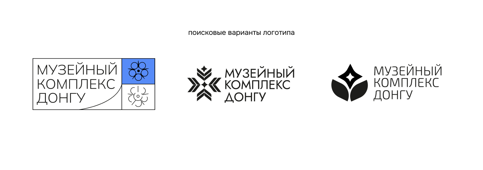 Айдентика музейного комплекса "ДонГУ" — Изображение №5 — Брендинг на Dprofile