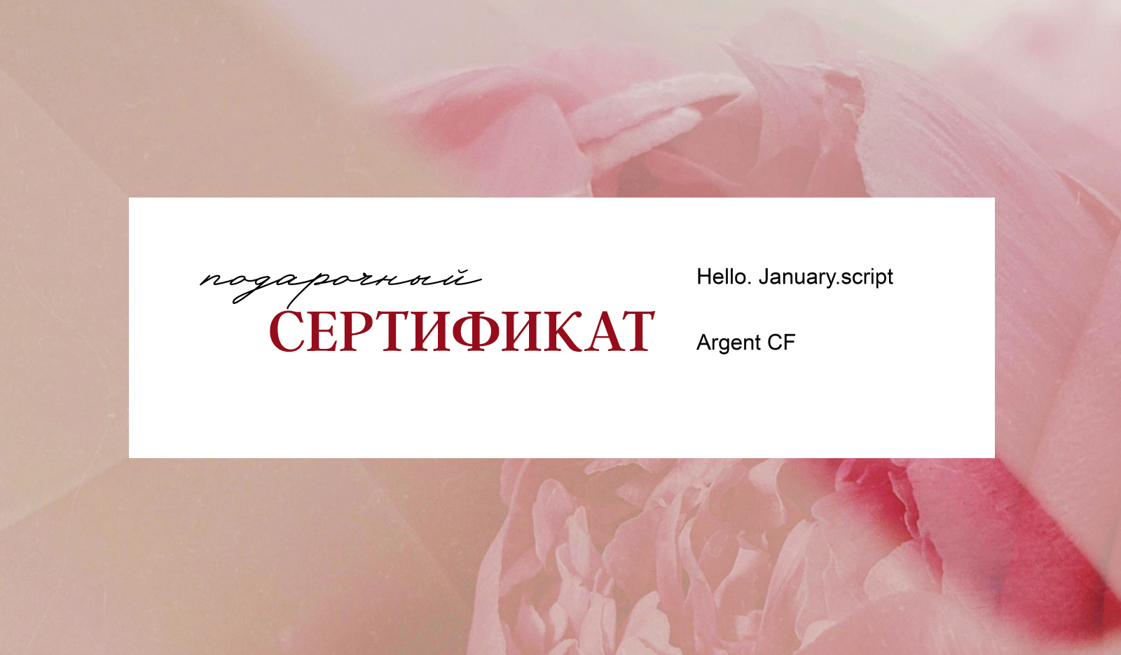 Дизайн подарочного сертификата для event-агентства — Изображение №2 — Графика на Dprofile