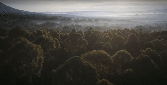 Lending / Экзотические туры / Лендинг / Туризм — Изображение №3 — Интерфейсы на Dprofile