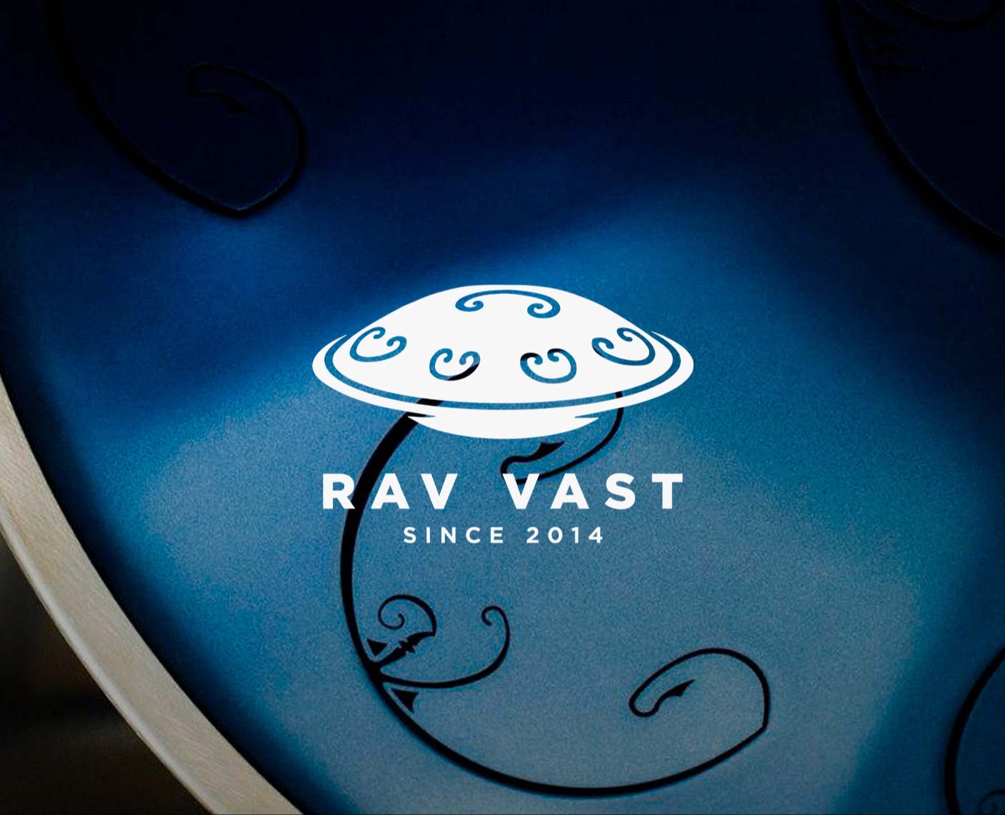 Social media for Rav Vast — Маркетинг на Dprofile