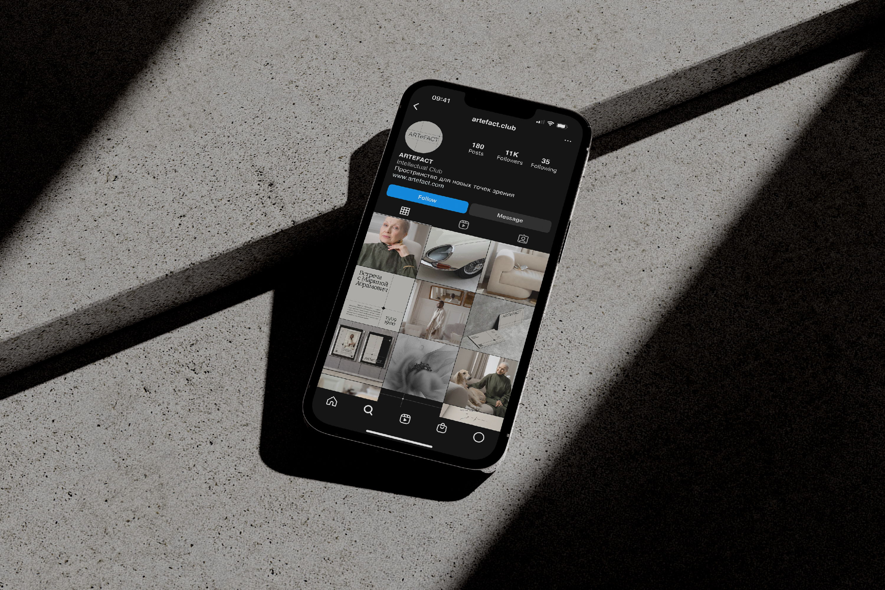 ARTEFACT — Изображение №8 — Брендинг, Анимация на Dprofile