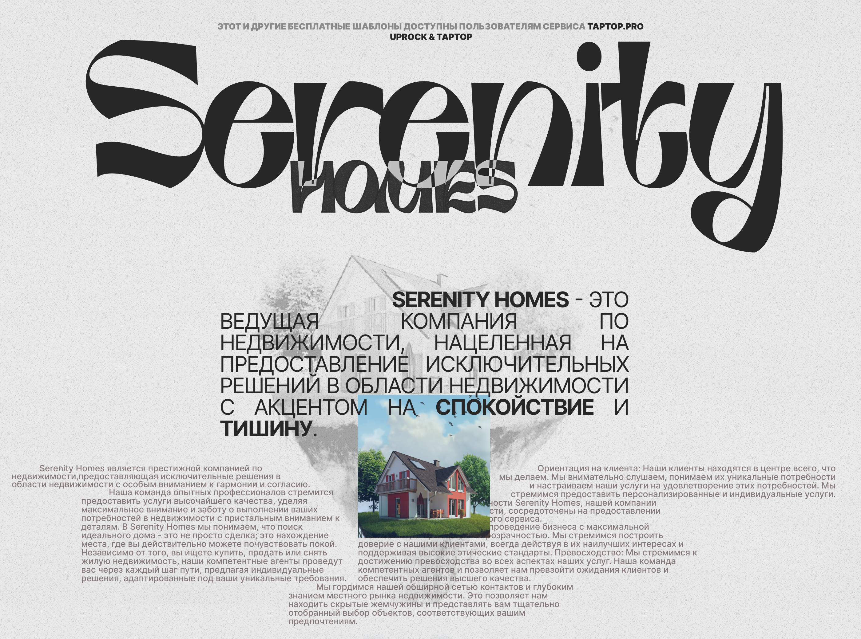 Serenity Homes — Изображение №1 — Интерфейсы, Брендинг на Dprofile