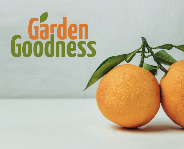 Garden Goodness — Брендинг на Dprofile