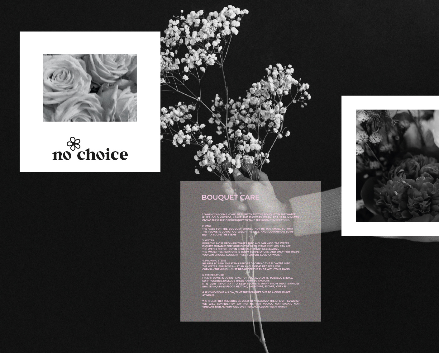 no choice / flower studio — Изображение №10 — Брендинг, Графика на Dprofile