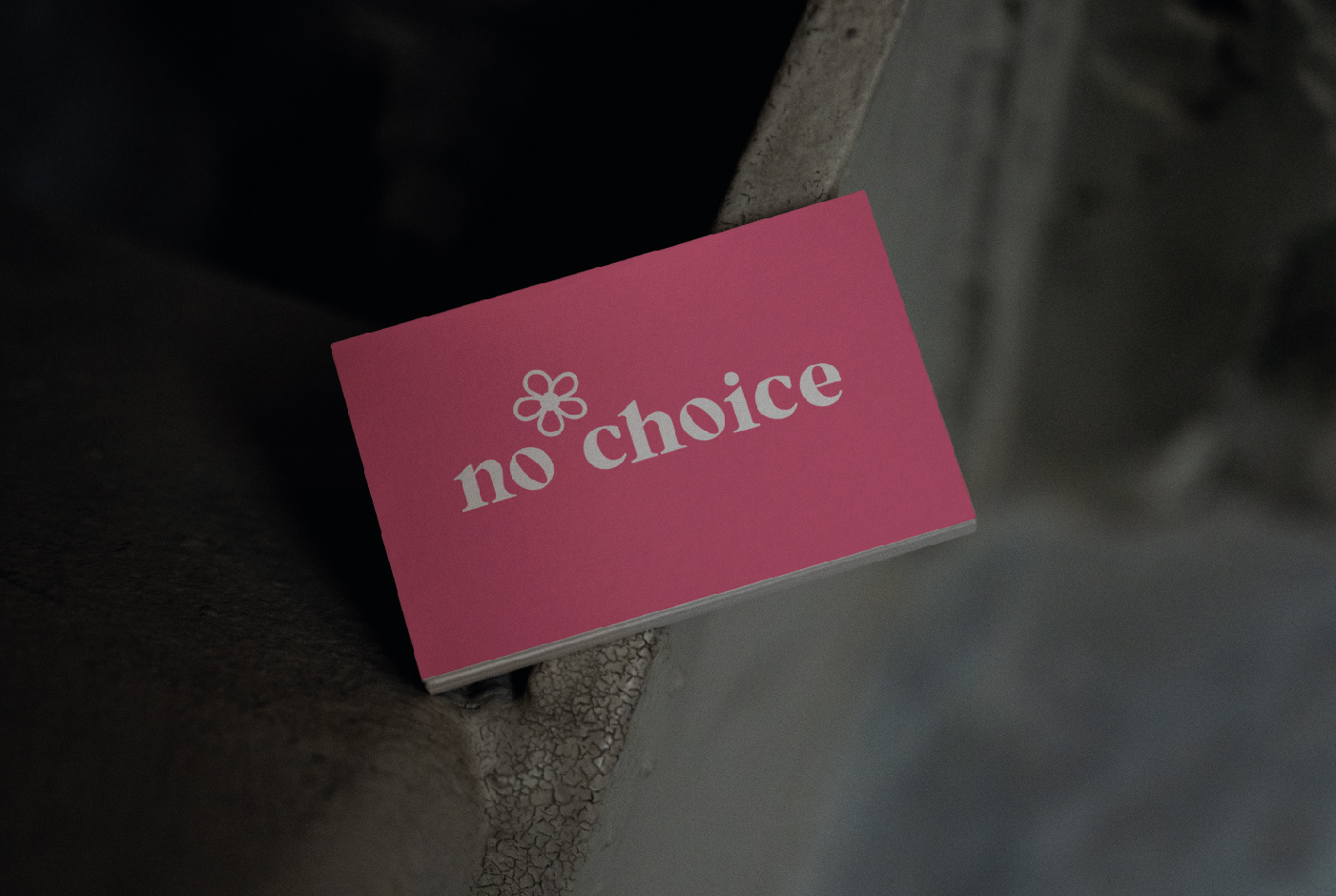 no choice / flower studio — Изображение №5 — Брендинг, Графика на Dprofile