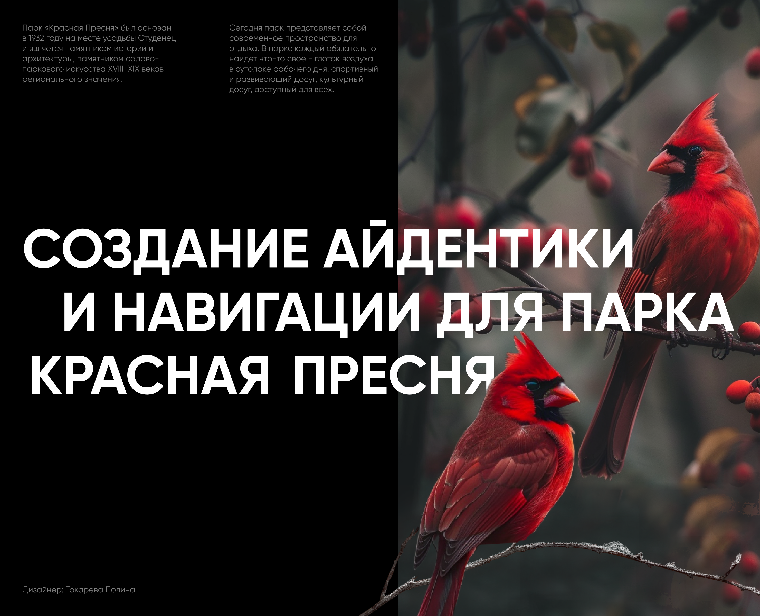 Айдентика и навигация для парка Красная Пресня на Dprofile