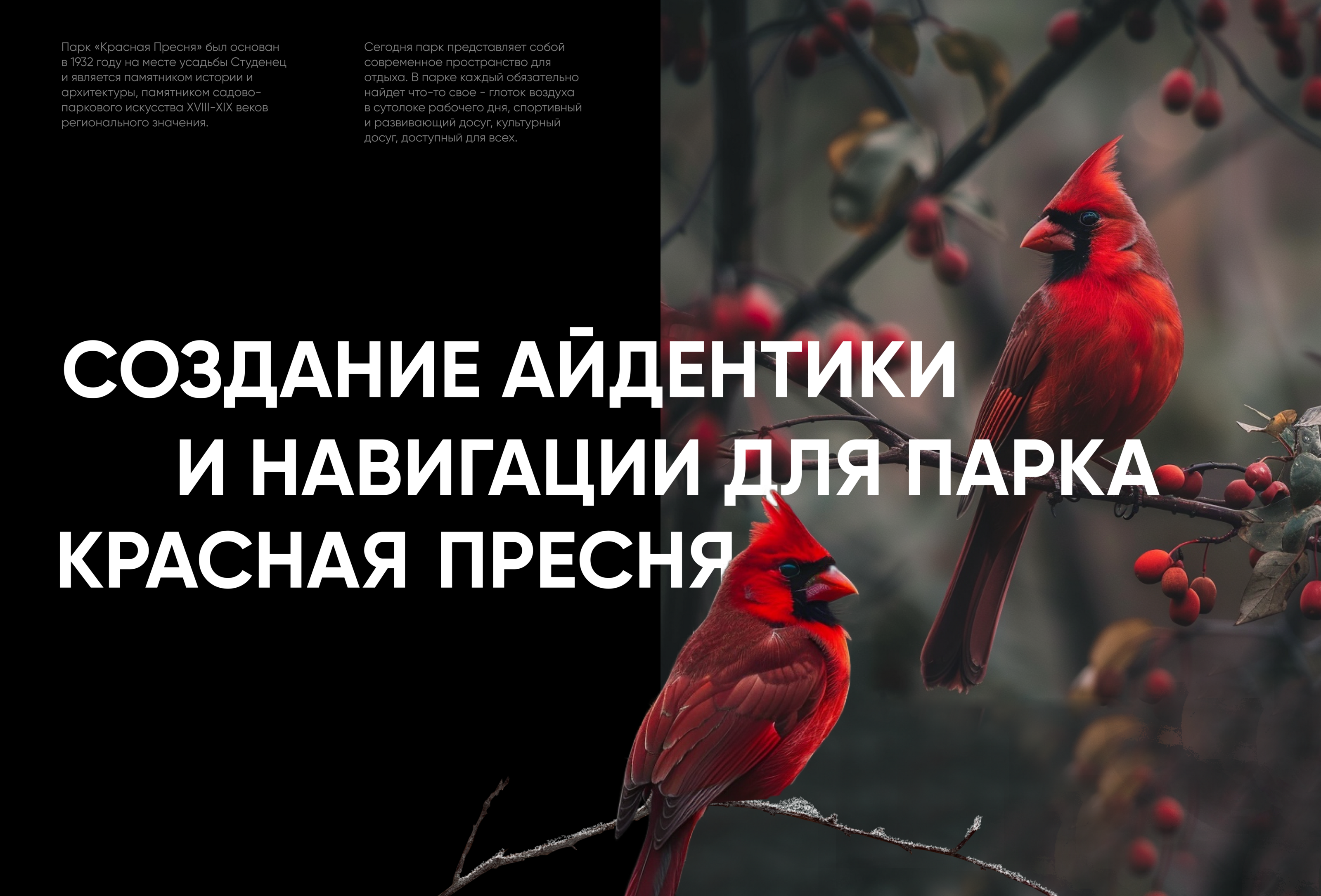 Айдентика и навигация для парка Красная Пресня — Изображение №1 — Брендинг, Графика на Dprofile