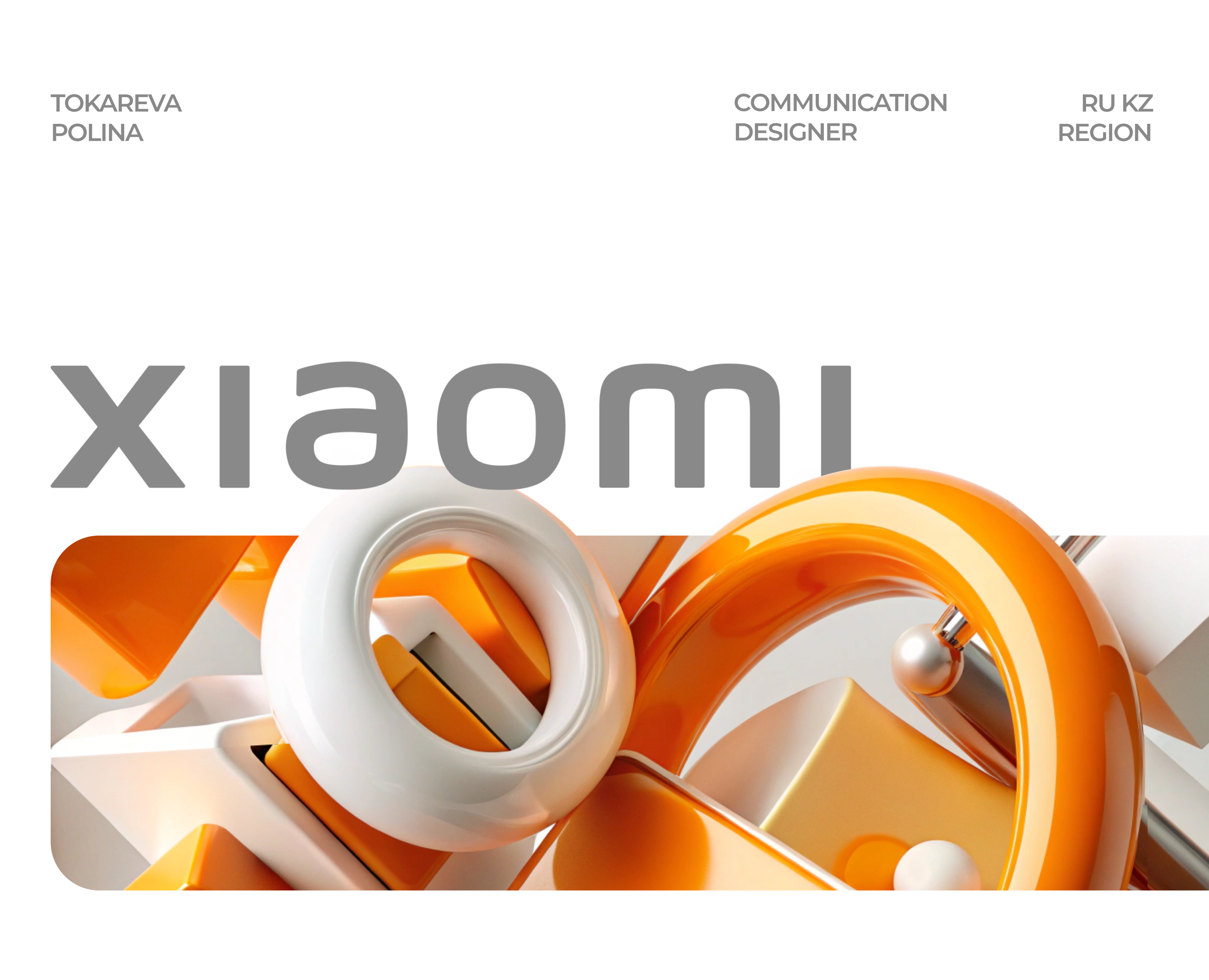 Xiaomi portfolio на Dprofile
