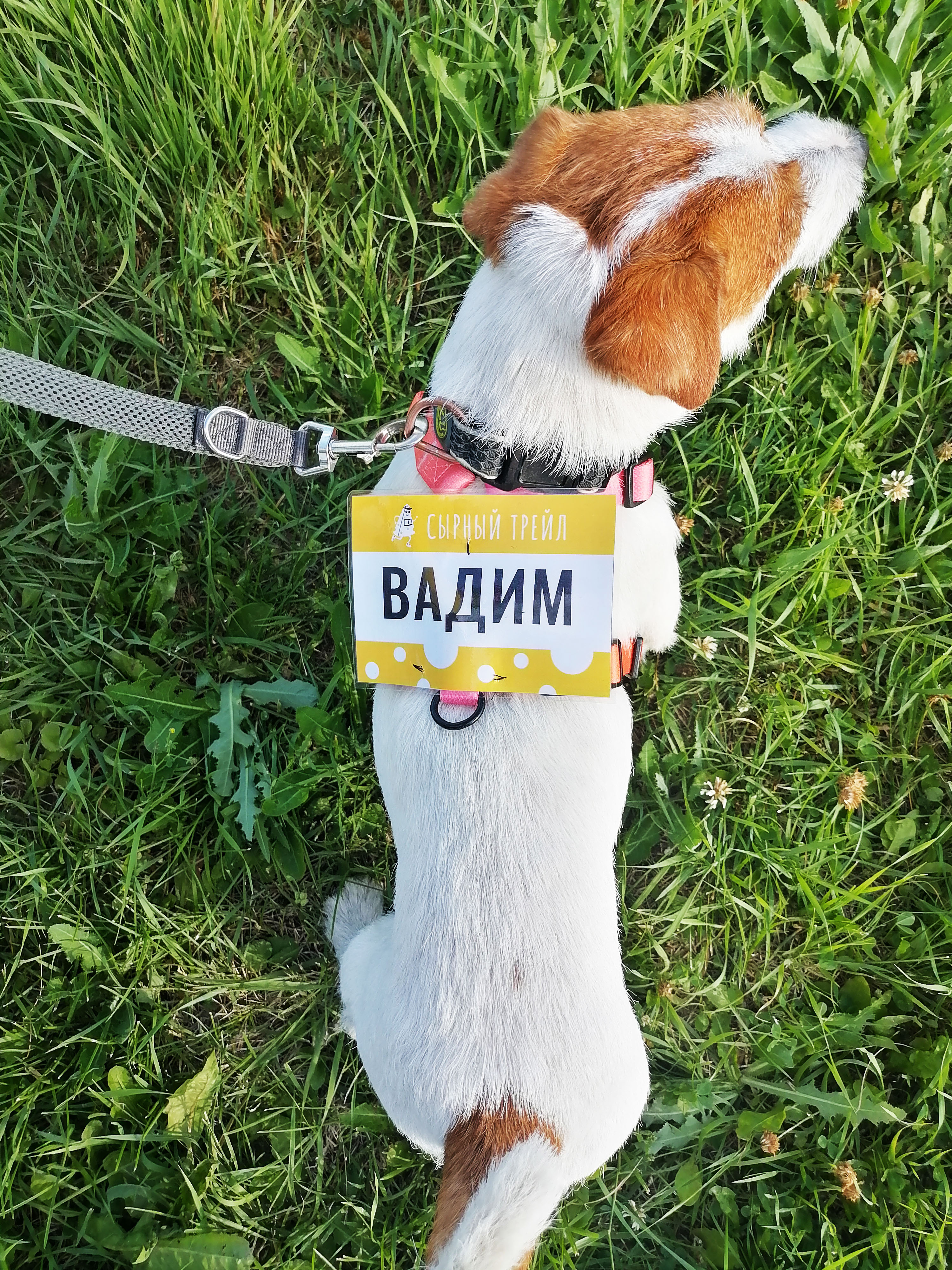 Фирменный стиль — Изображение №13 — Брендинг на Dprofile