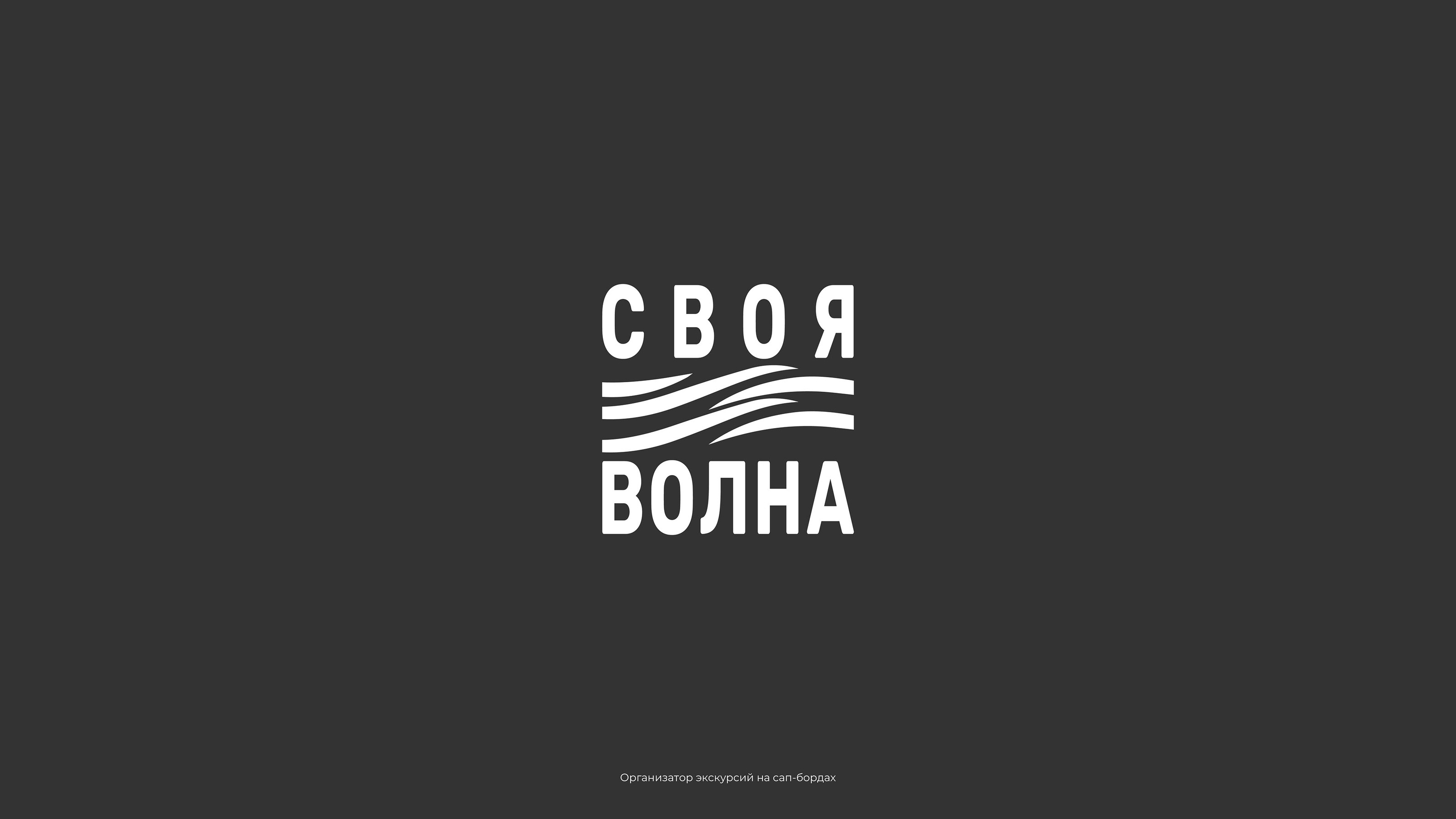 Лого & Портфолио — Изображение №4 — Брендинг на Dprofile