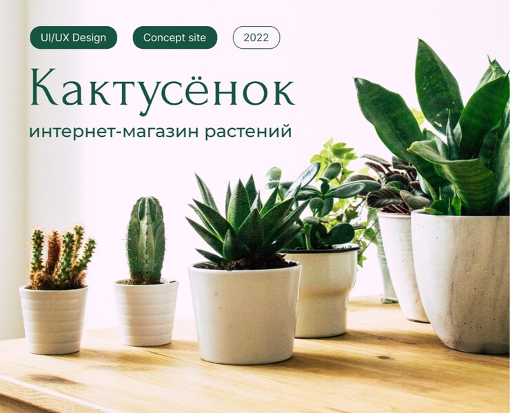 Интернет-магазин растений «Кактусёнок» | Редизайн сайта — Интерфейсы на Dprofile