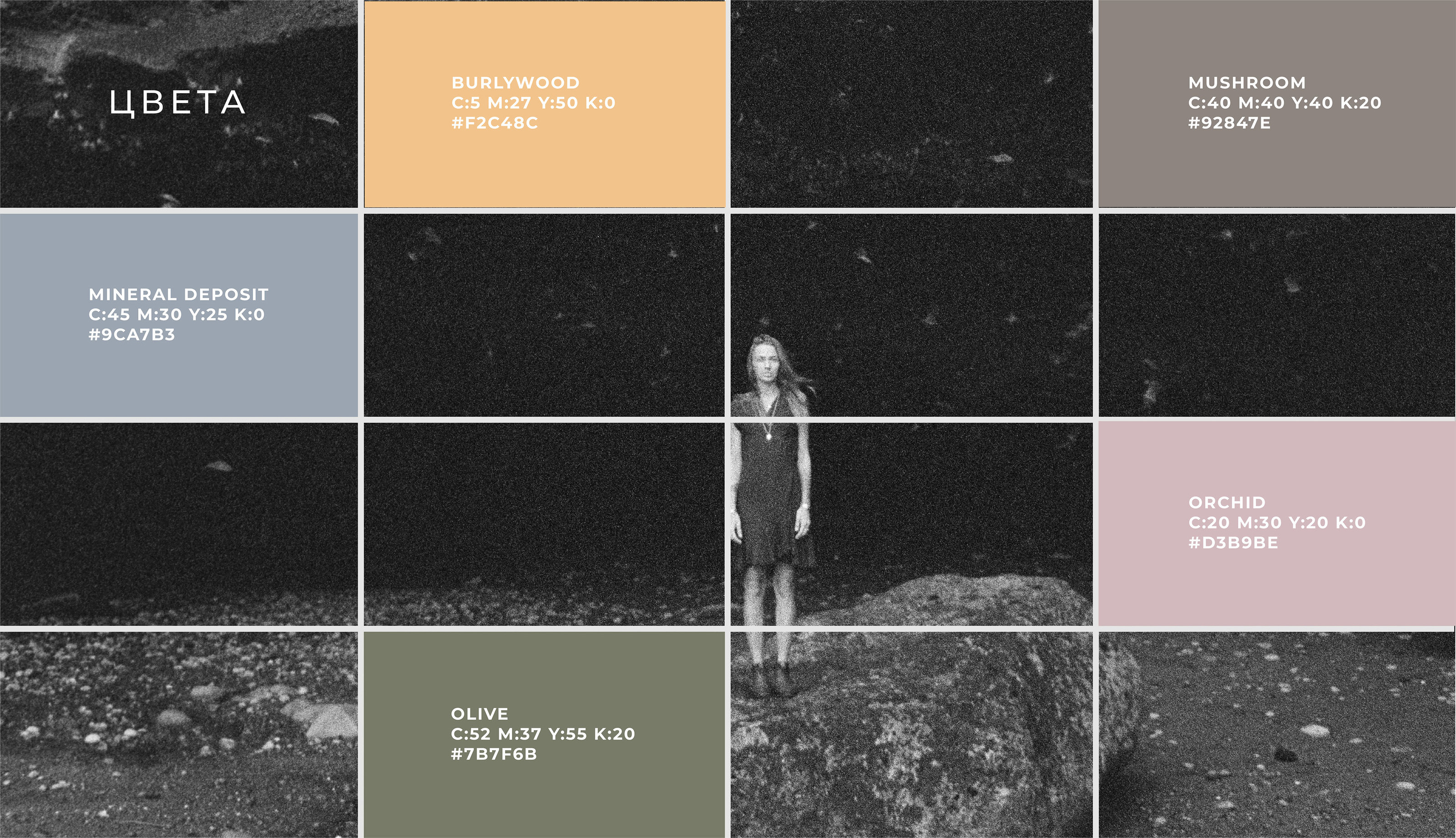 Логотип для бренда натуральной косметики для волос — Изображение №3 — Брендинг, Графика на Dprofile