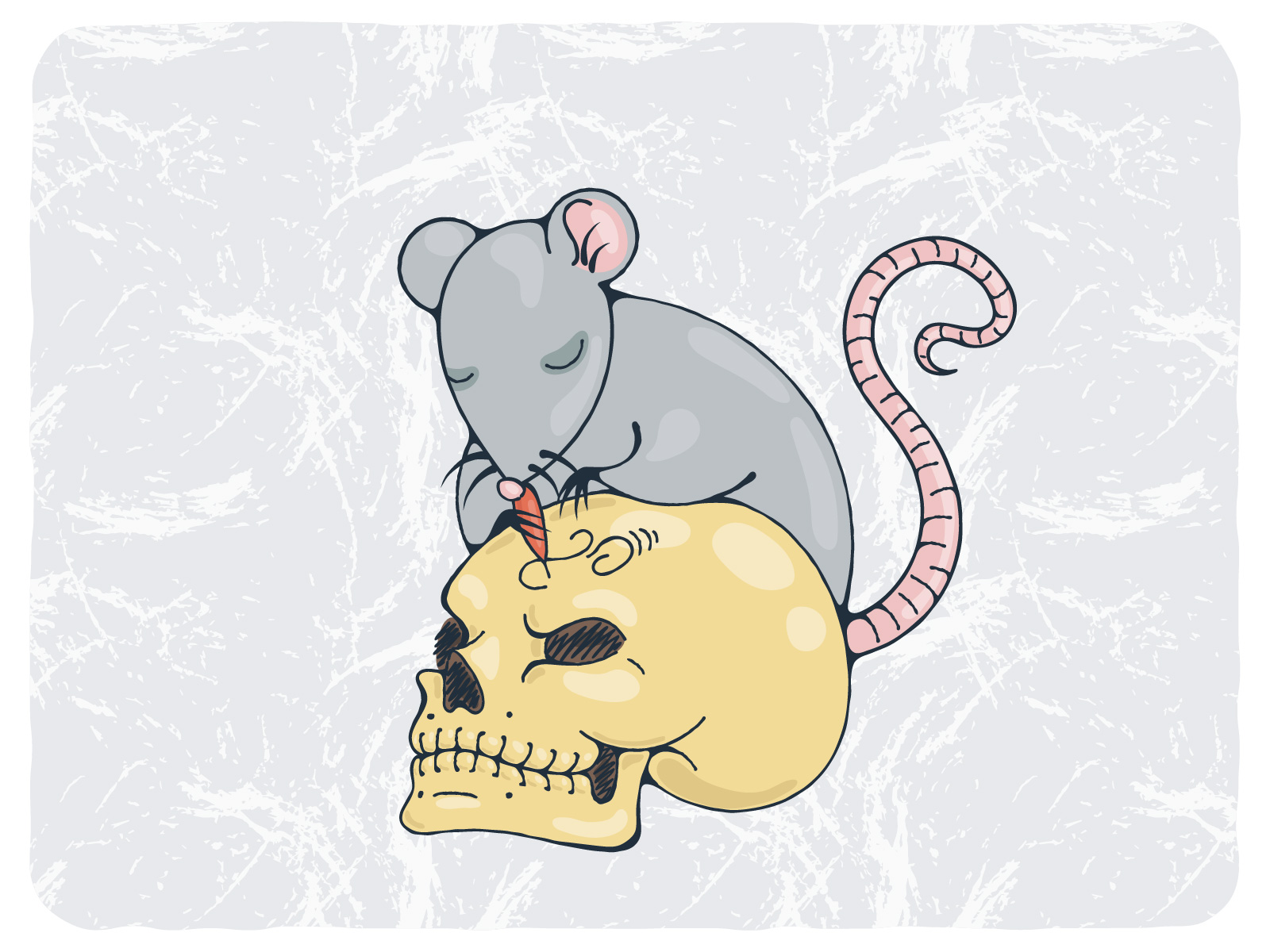 Raccoons`N`Rats — Изображение №7 — Иллюстрация на Dprofile