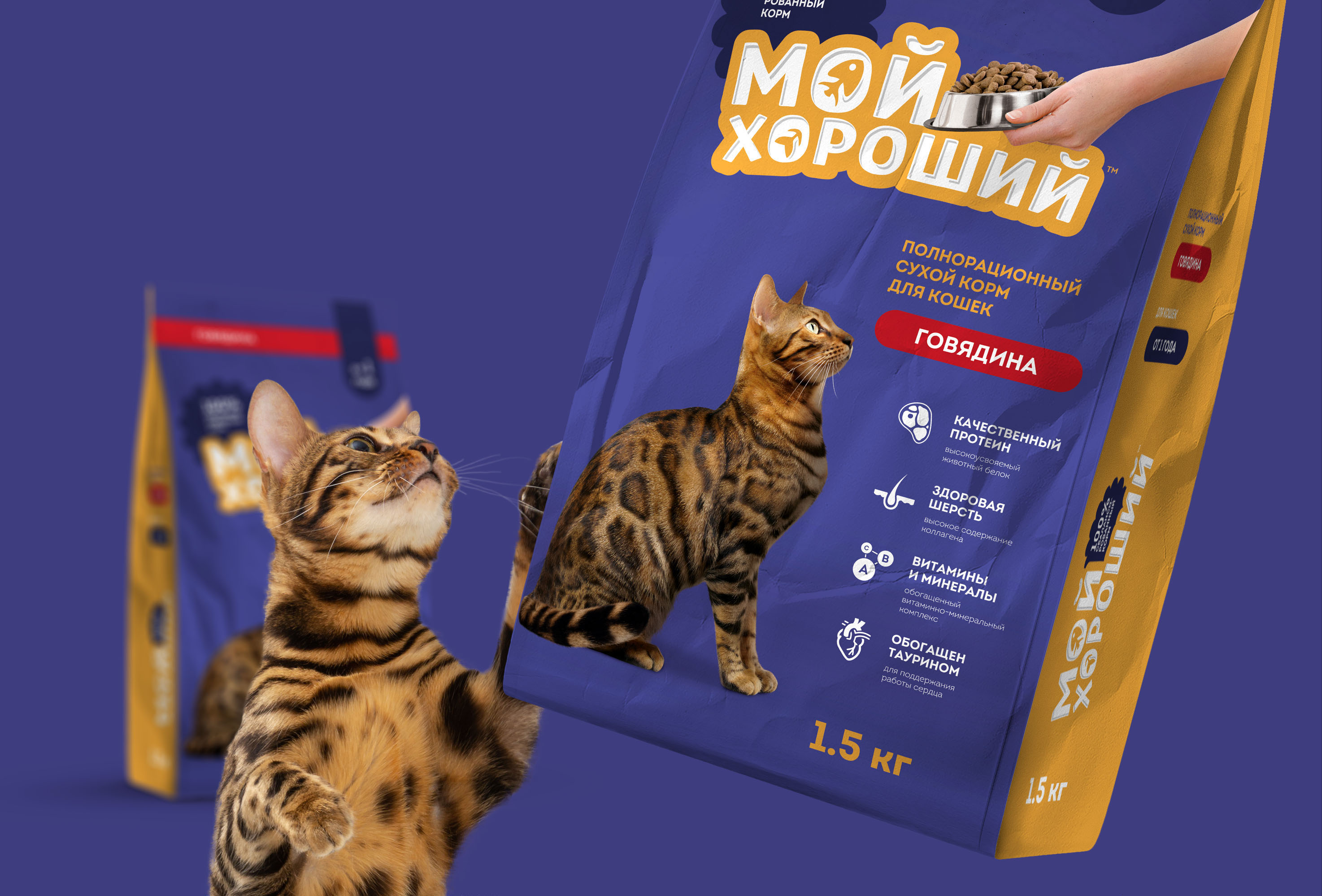 Упаковка сухого корма для кошек и собак — Изображение №7 — Брендинг на Dprofile