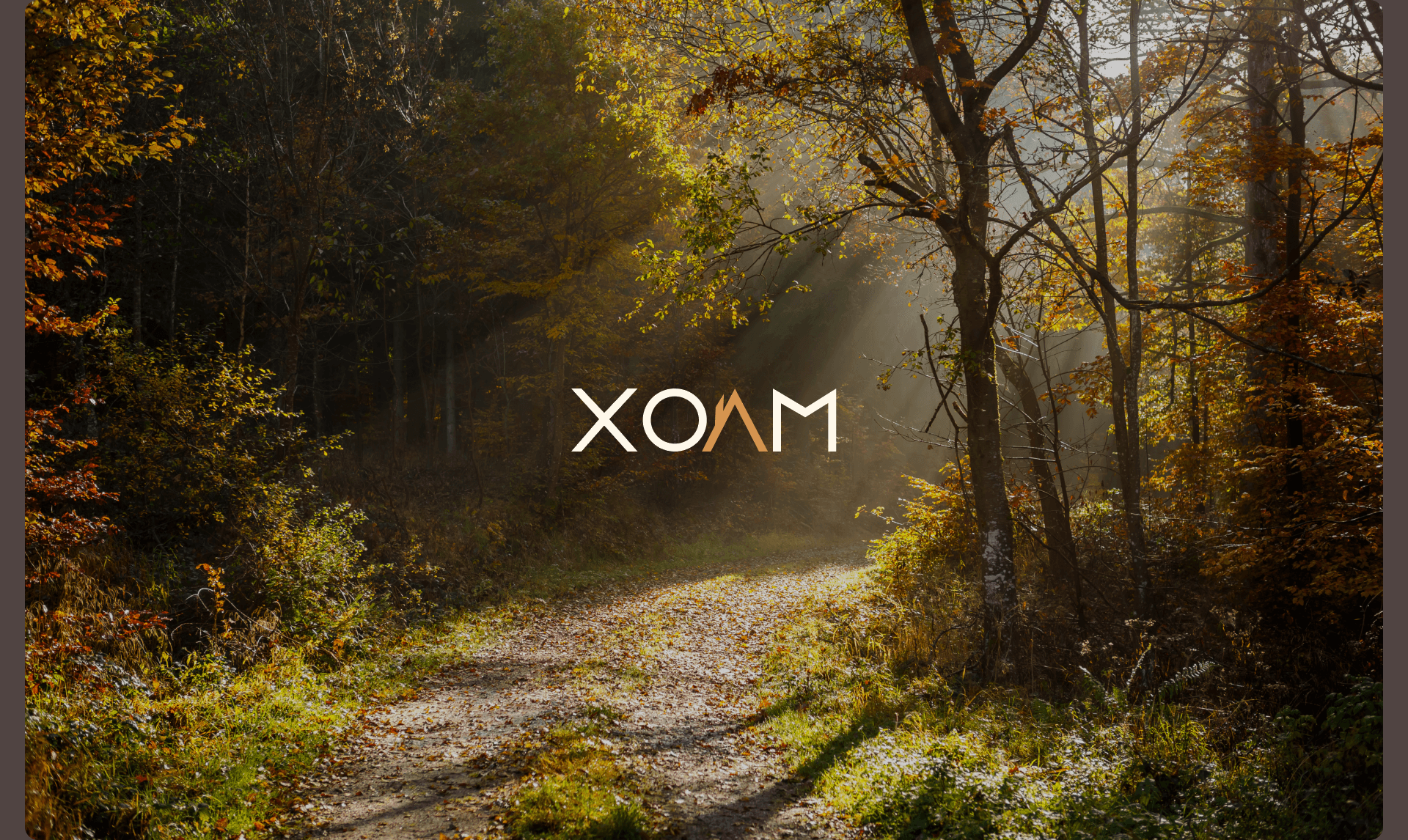 ХолмInn : Сайт для Парк-отеля — Изображение №21 — Интерфейсы, Брендинг на Dprofile