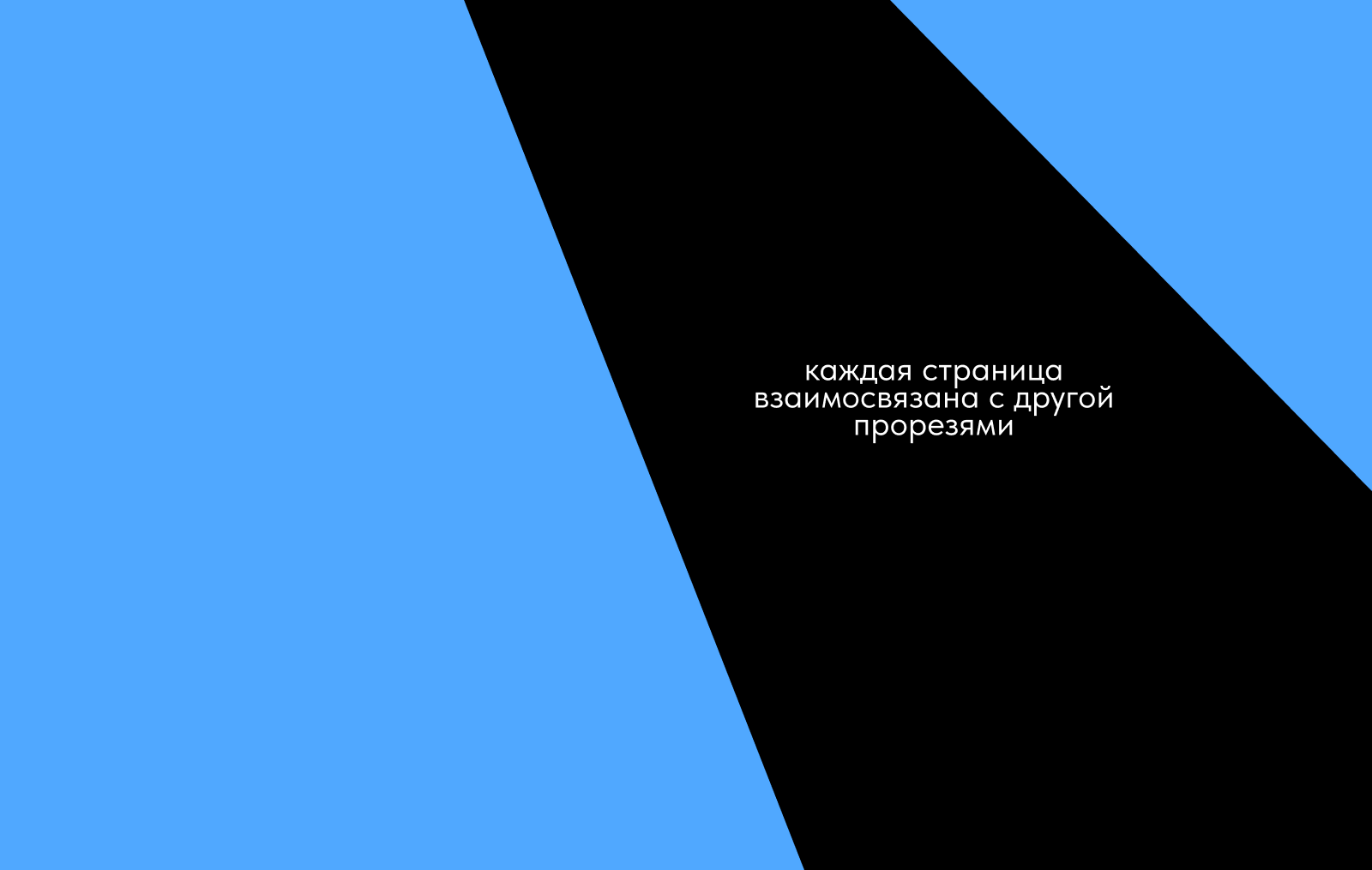 Книга по альбому «Пляж» группы «Макулатура» — Изображение №5 — Иллюстрация, Графика на Dprofile