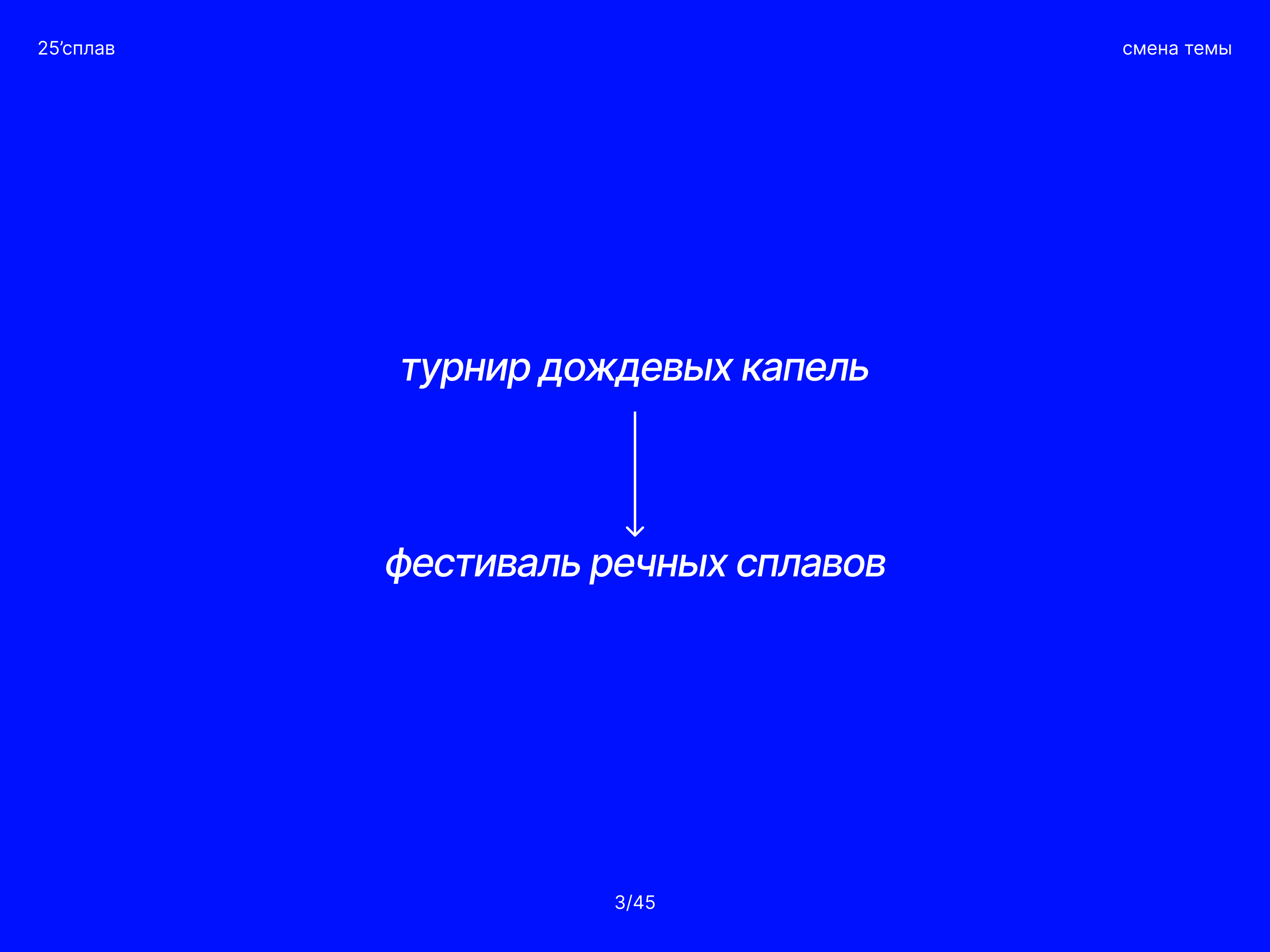 Фирменный стиль для фестиваля речных сплавов — Изображение №2 — Брендинг, Графика на Dprofile