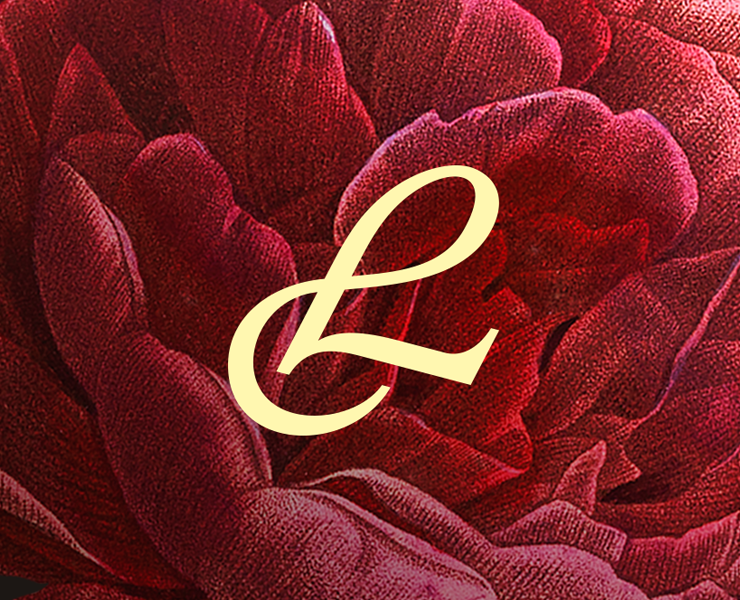 Luvduxe — Брендинг, Графика на Dprofile