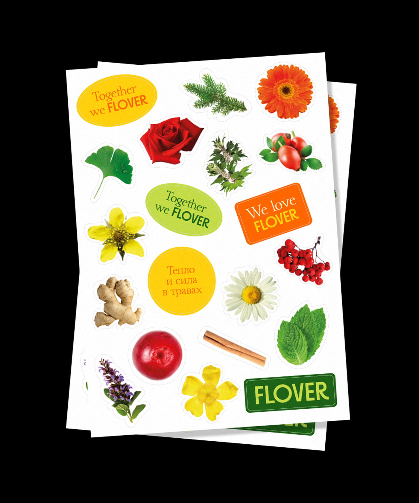FLOVER tea — Изображение №7 — Брендинг на Dprofile