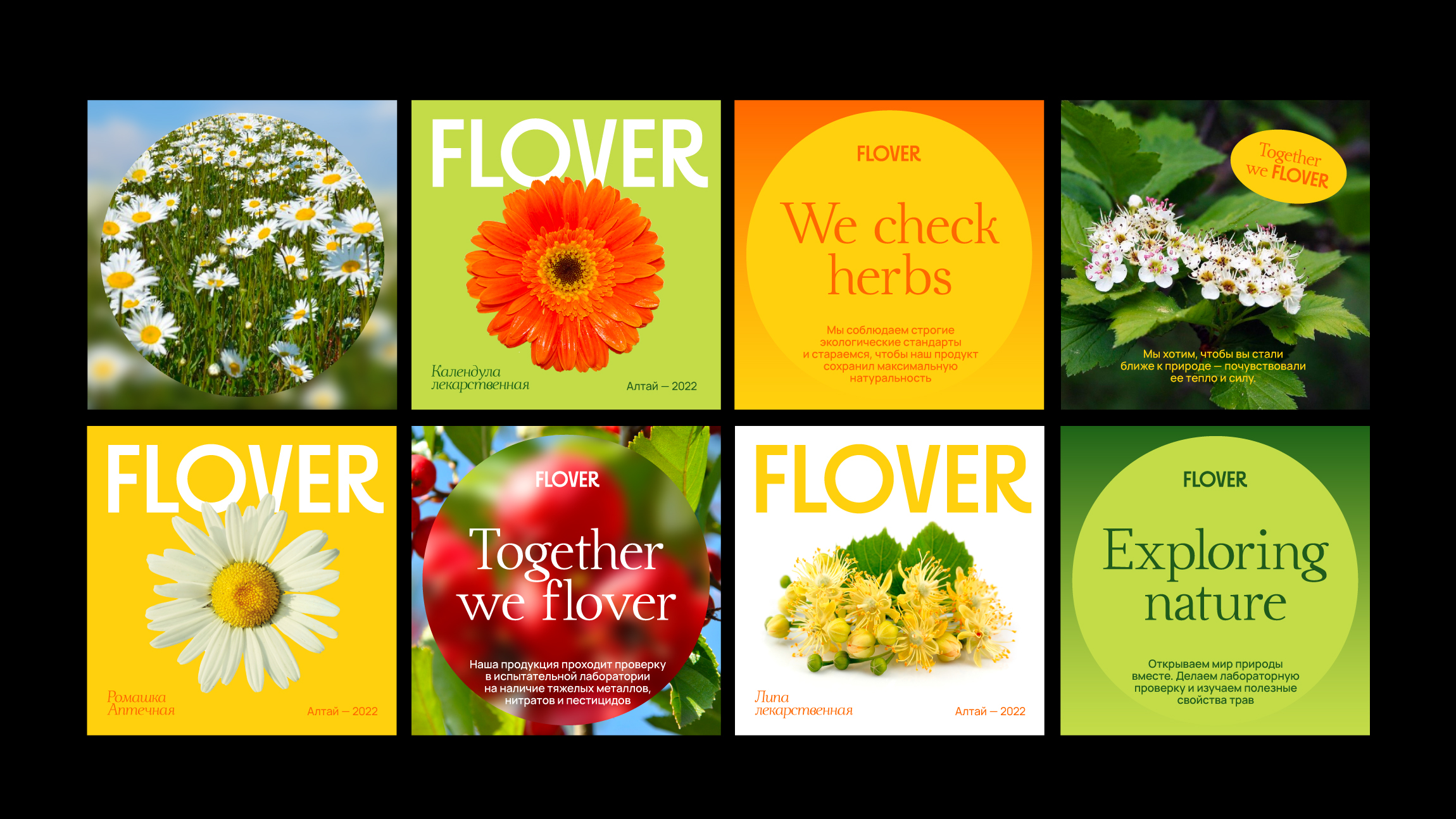 FLOVER tea — Изображение №5 — Брендинг на Dprofile