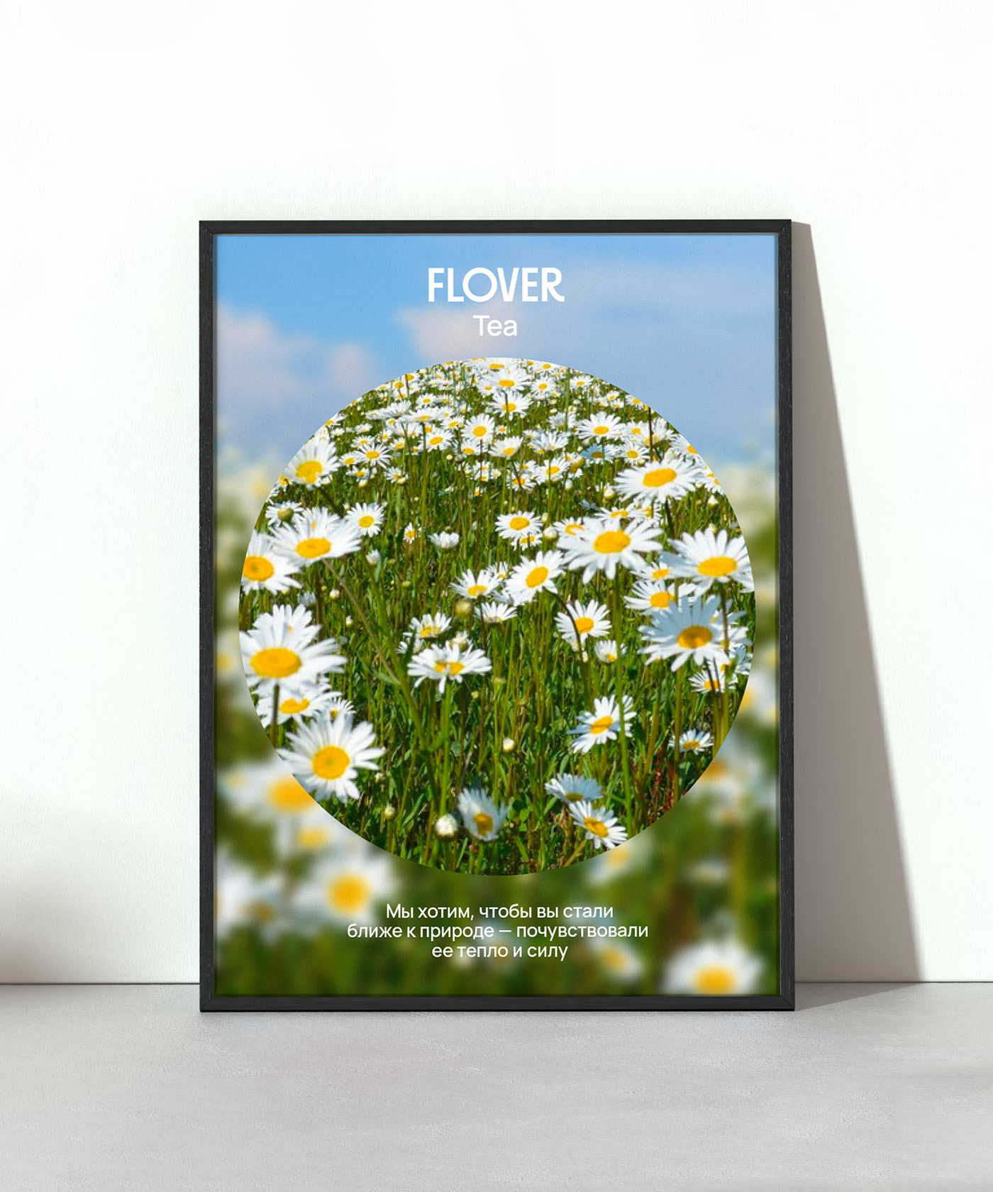 FLOVER tea — Изображение №19 — Брендинг на Dprofile