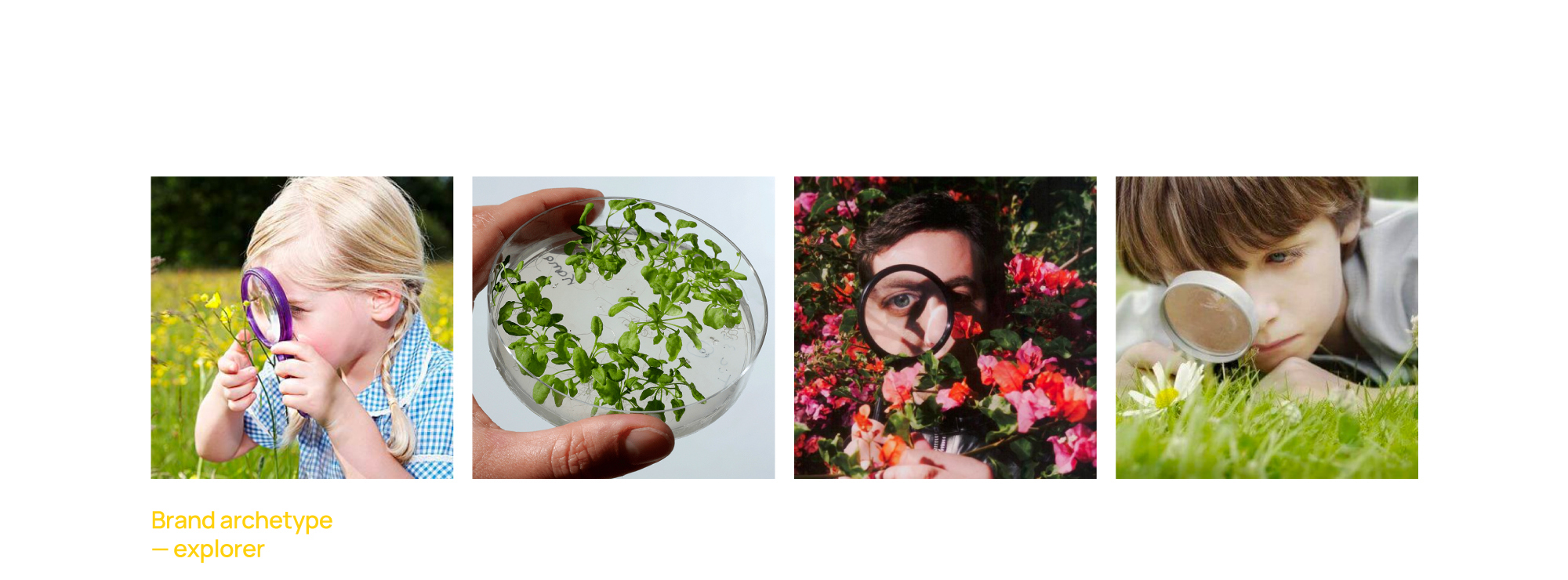 FLOVER tea — Изображение №3 — Брендинг на Dprofile