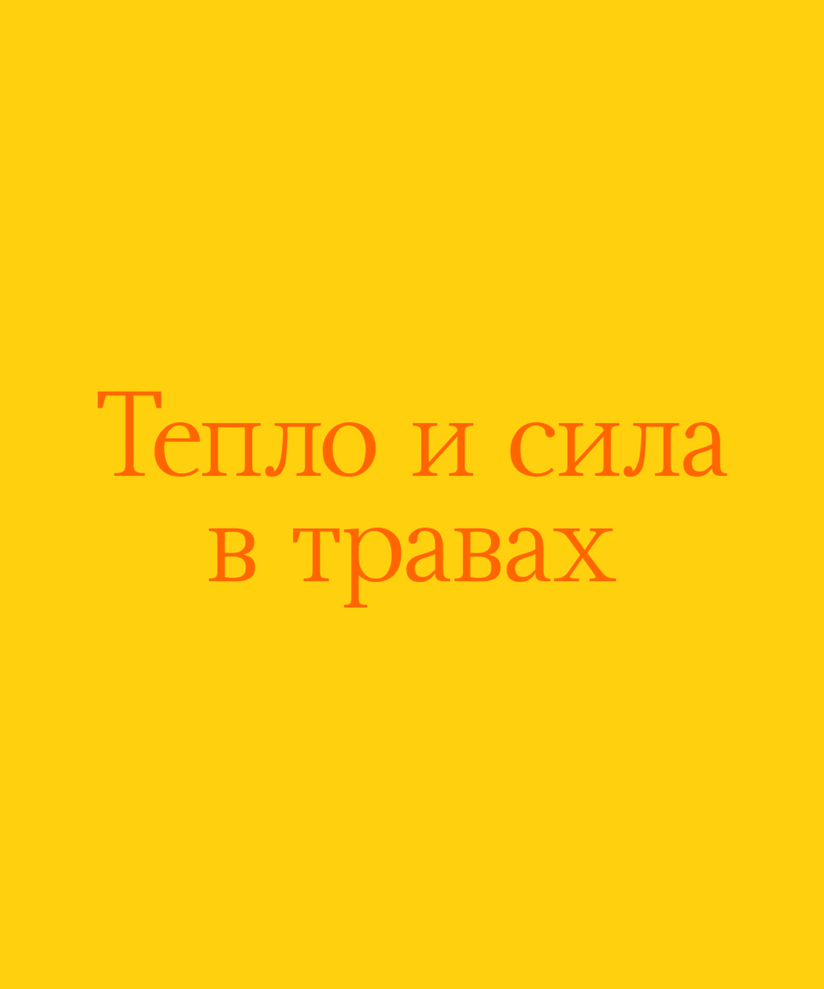 FLOVER tea — Изображение №10 — Брендинг на Dprofile