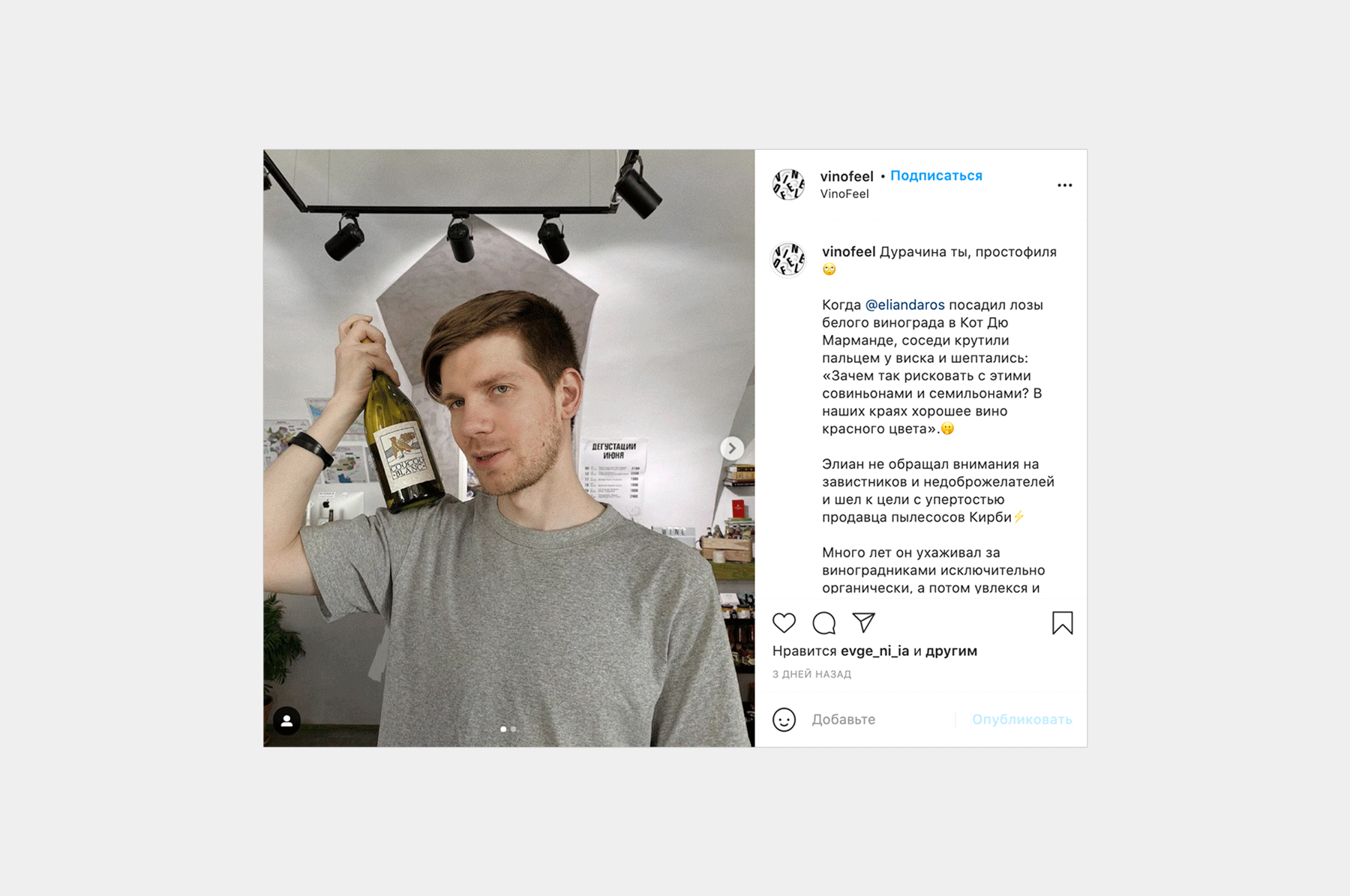 VINOFEEL | SPb vinotheque — Изображение №17 — Брендинг, Иллюстрация на Dprofile